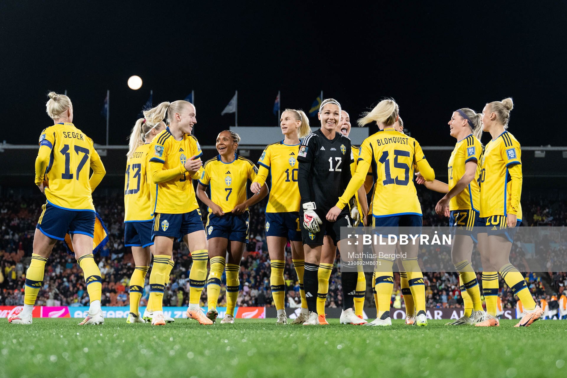 Players of Sweden