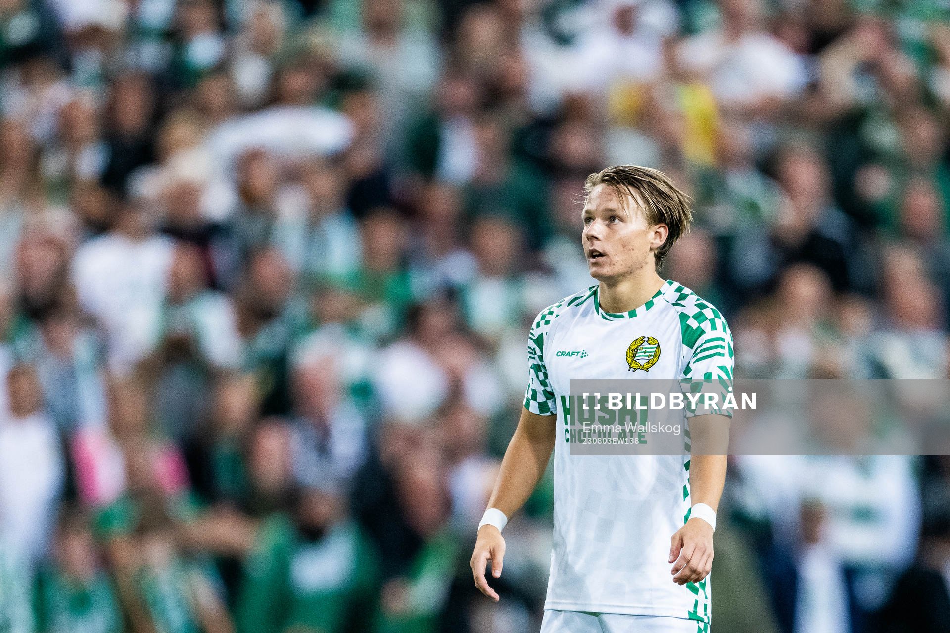 August Mikkelsen of Hammarby