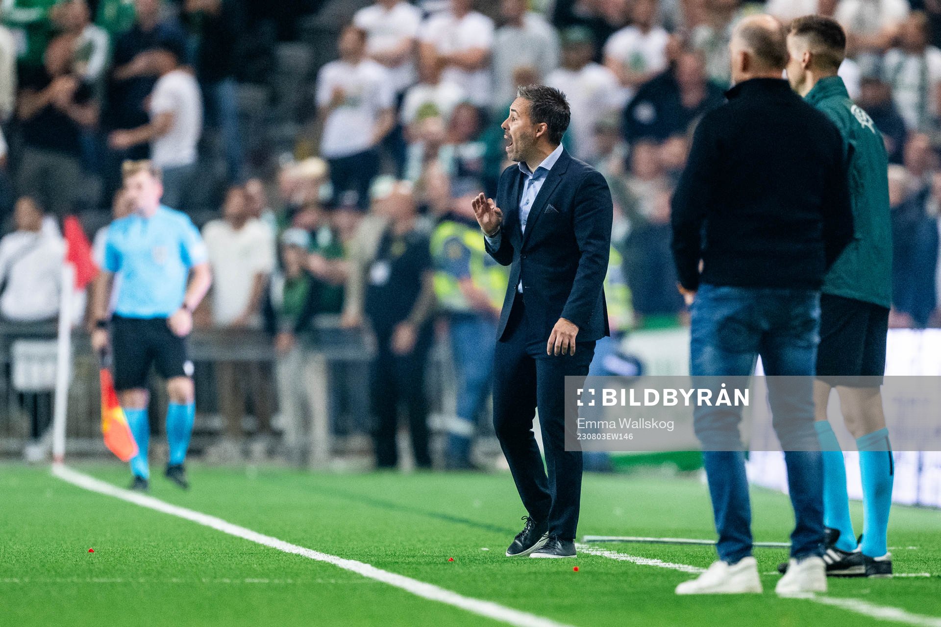 Head coach Marti Cifuentes of Hammarby