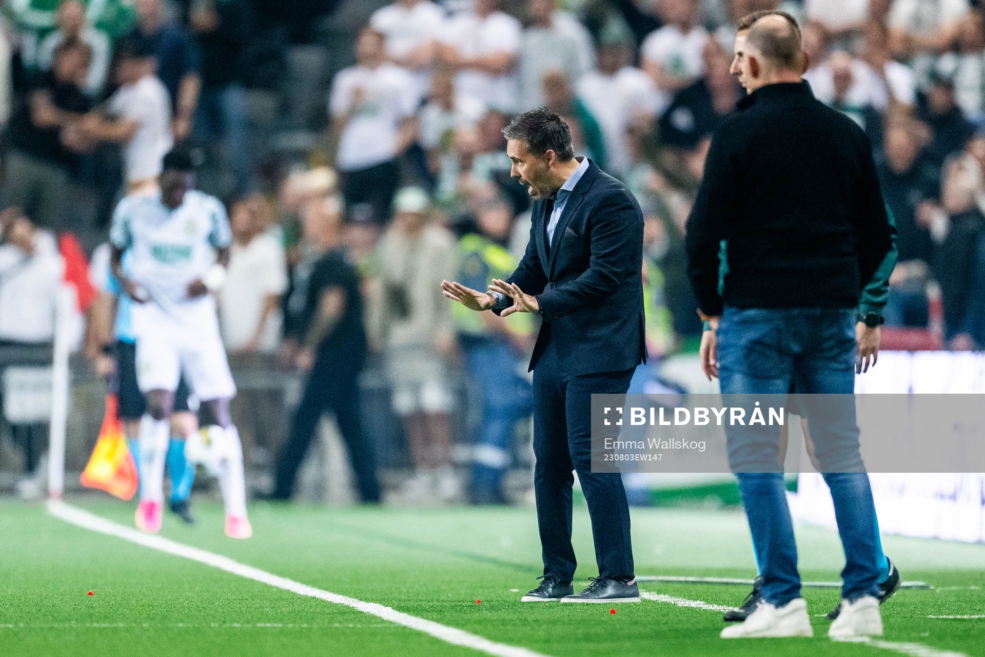 Head coach Marti Cifuentes of Hammarby