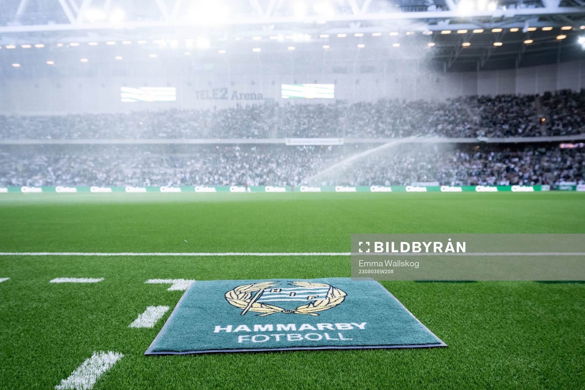 The logo of Hammarby