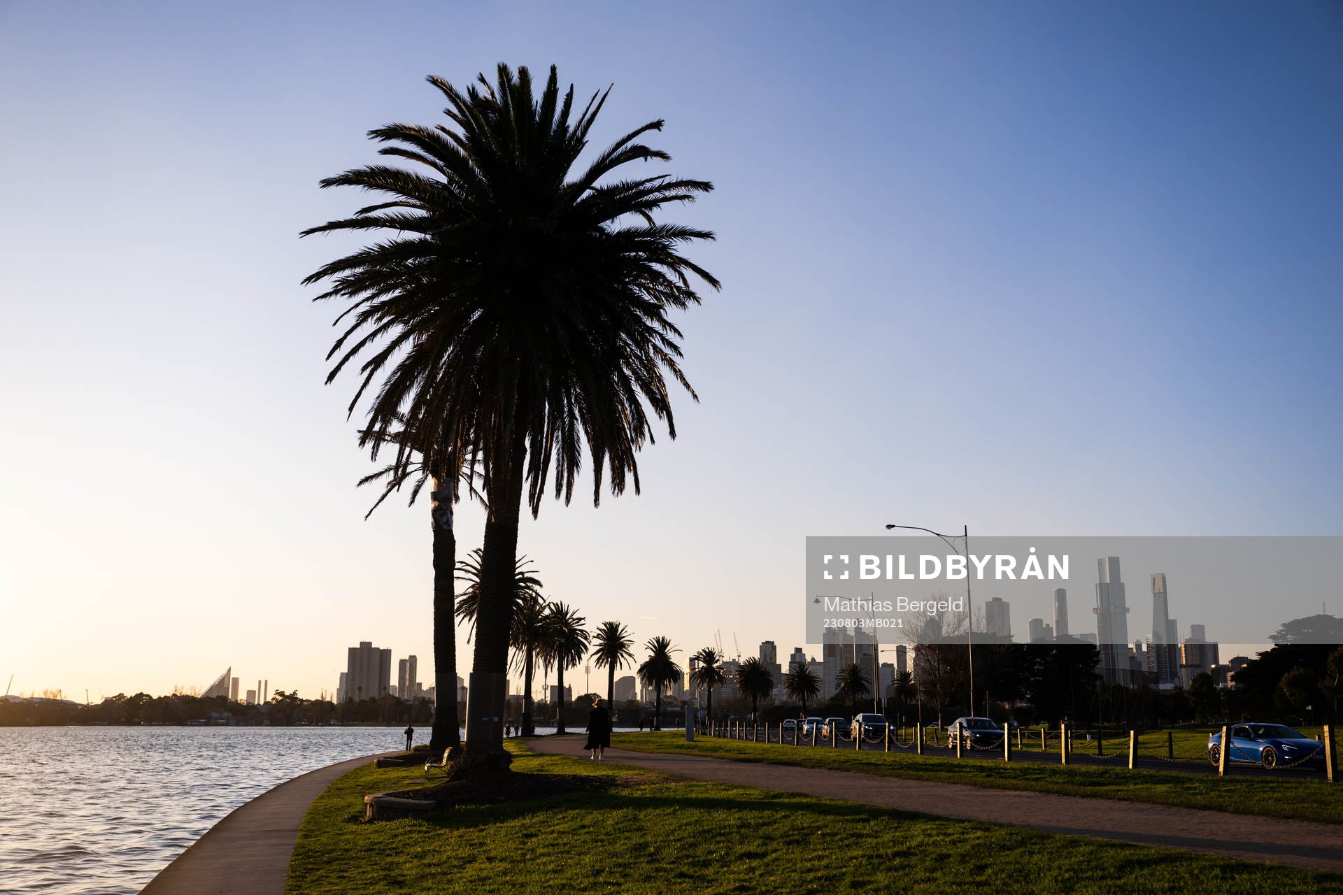 The citys skyline as seen from Albert Park