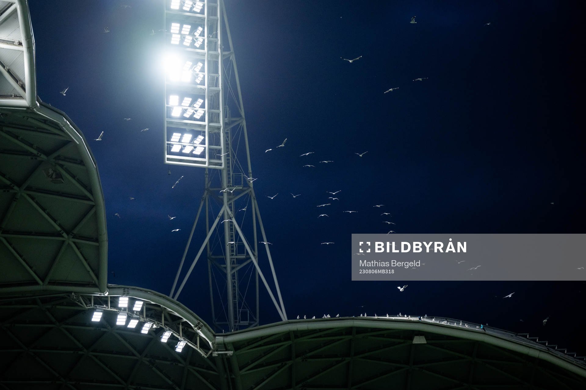 Birds fly around the floodlights