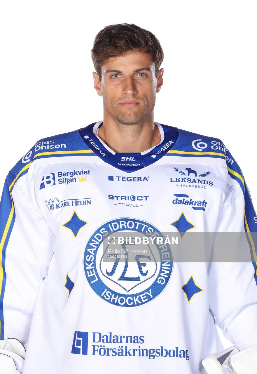 Leksands Mantas Armalis