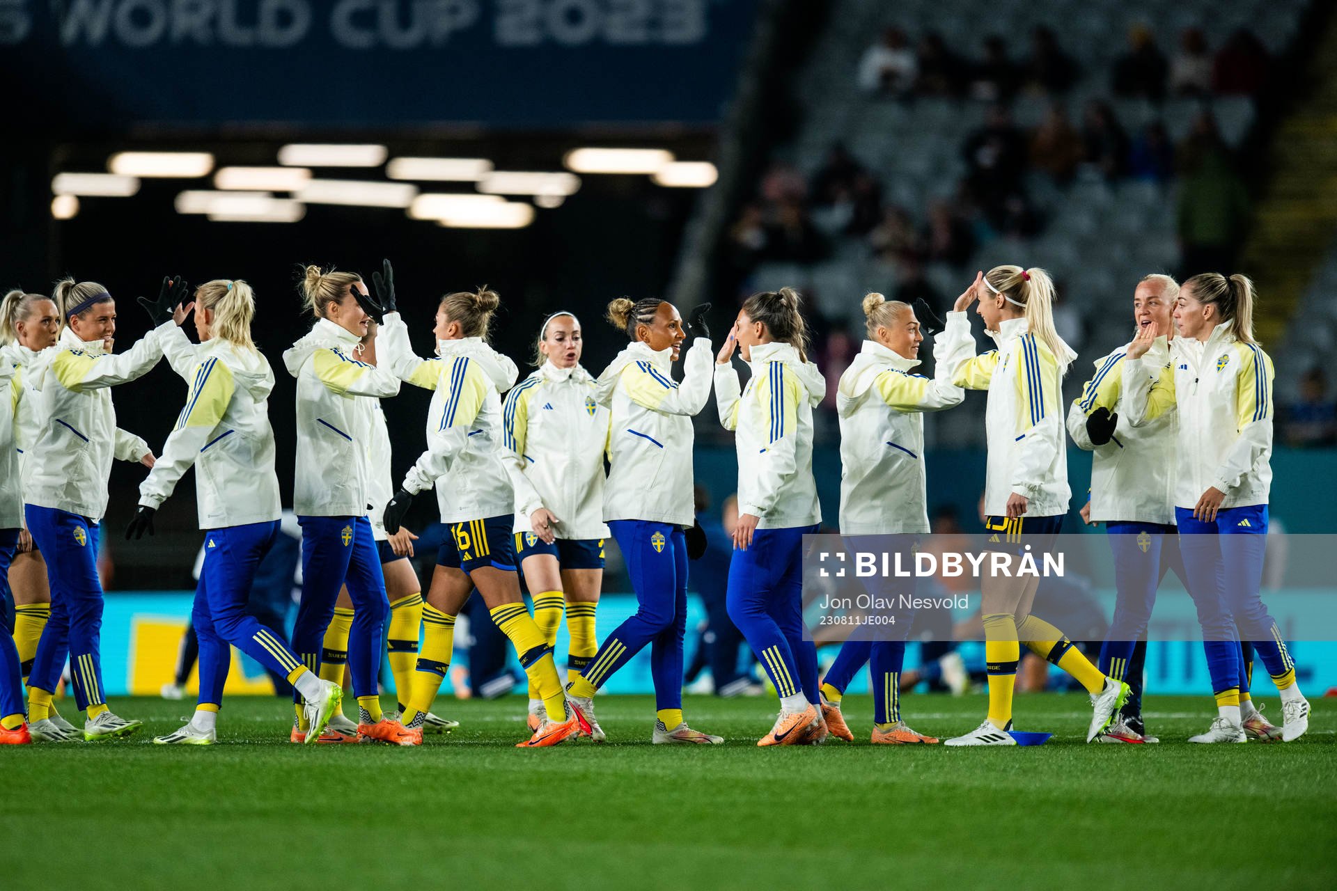 Players of Sweden