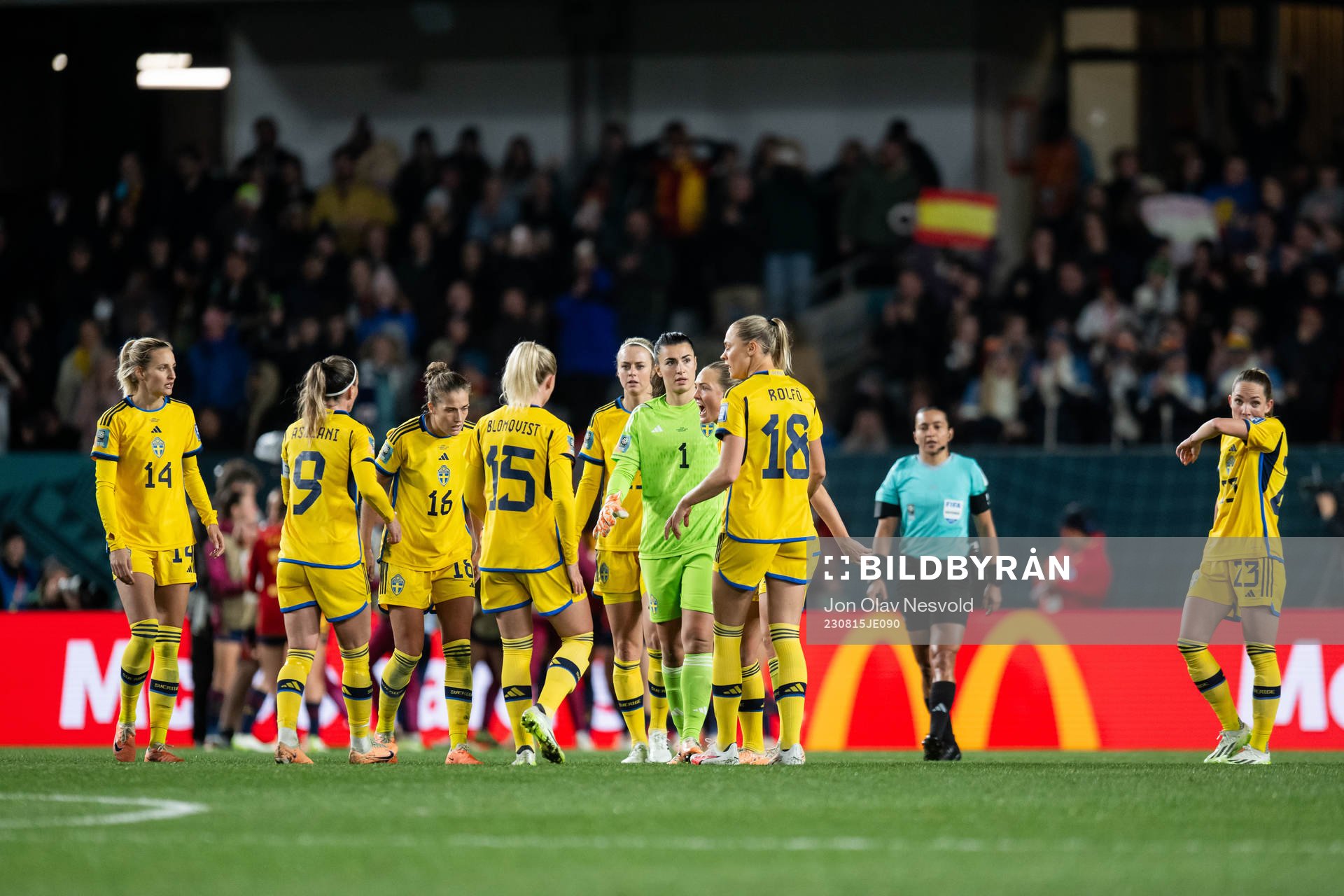Players of Sweden hather