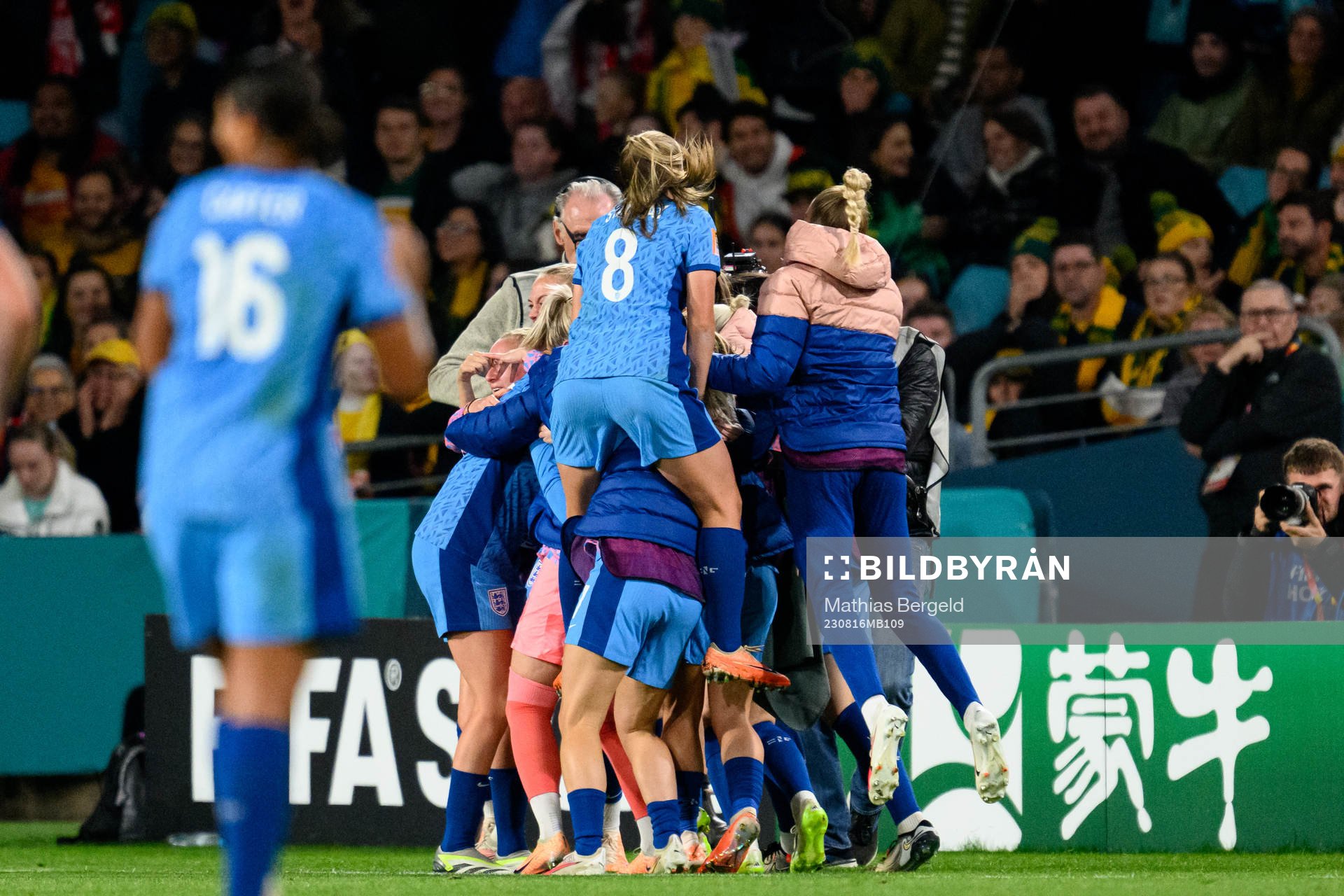 Players of England celebrates
