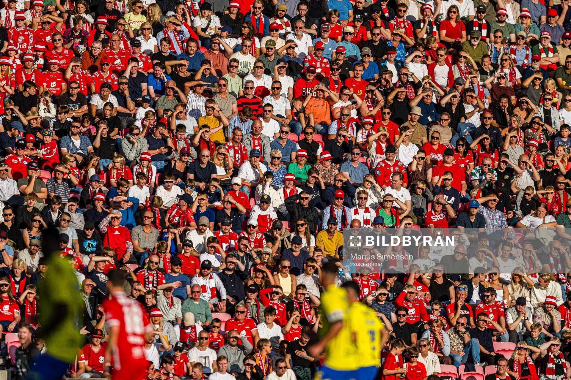Spectators in the stands