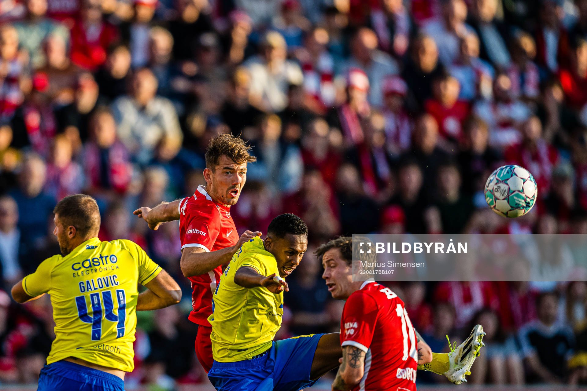 Fredrik Pallesen Knudsen of Brann