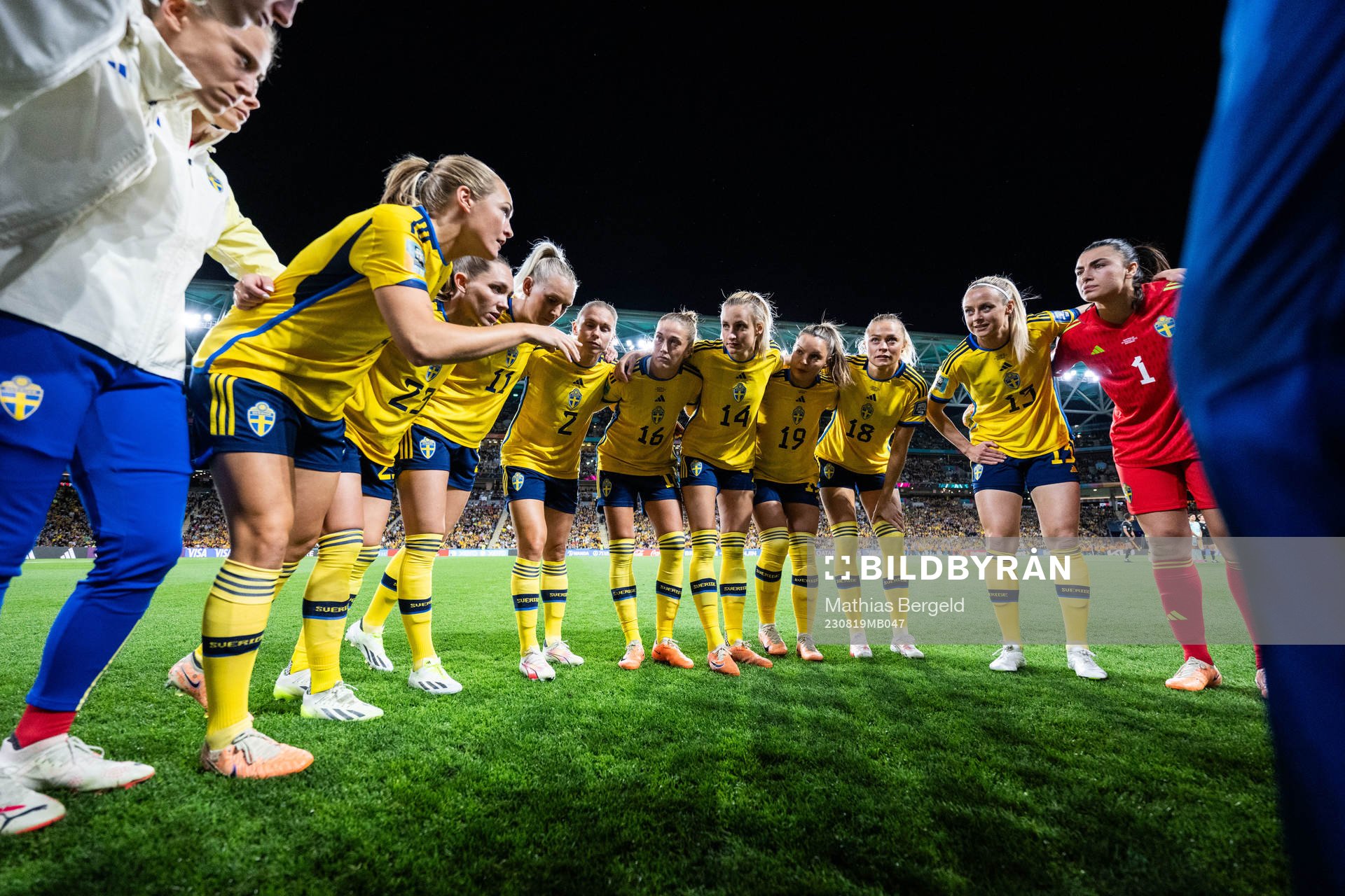 Players of Sweden