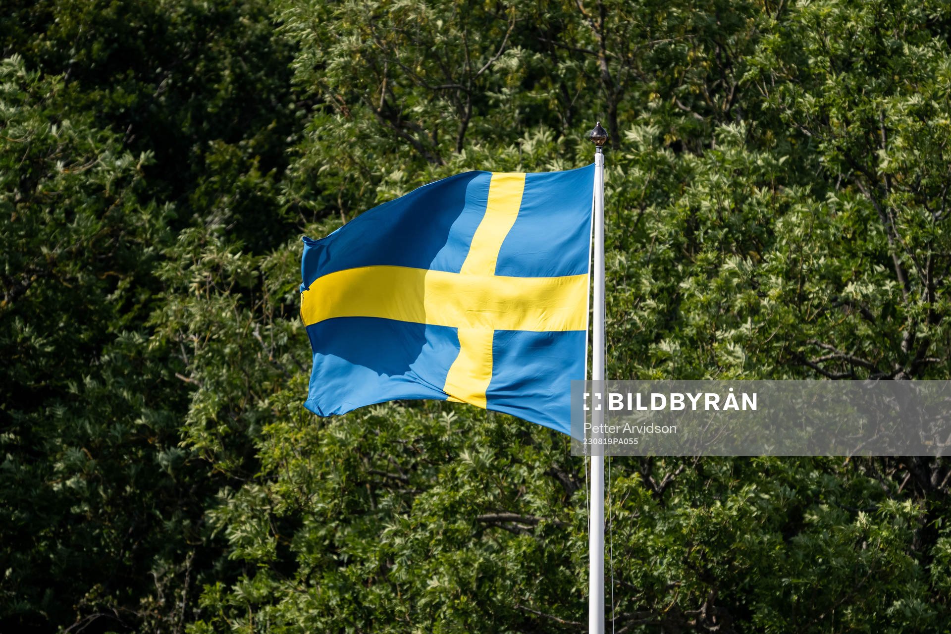 Svenska flaggan vajar i vinden