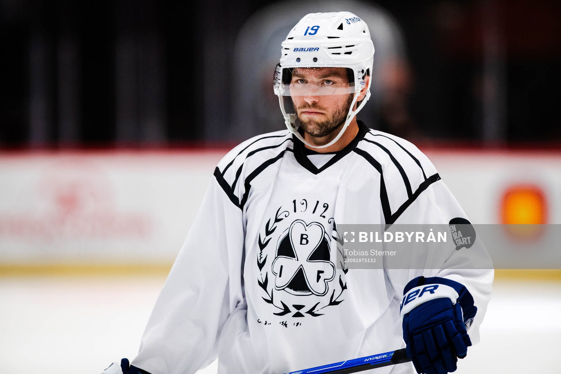 Toronto Maple Leafs Calle Järnkrok