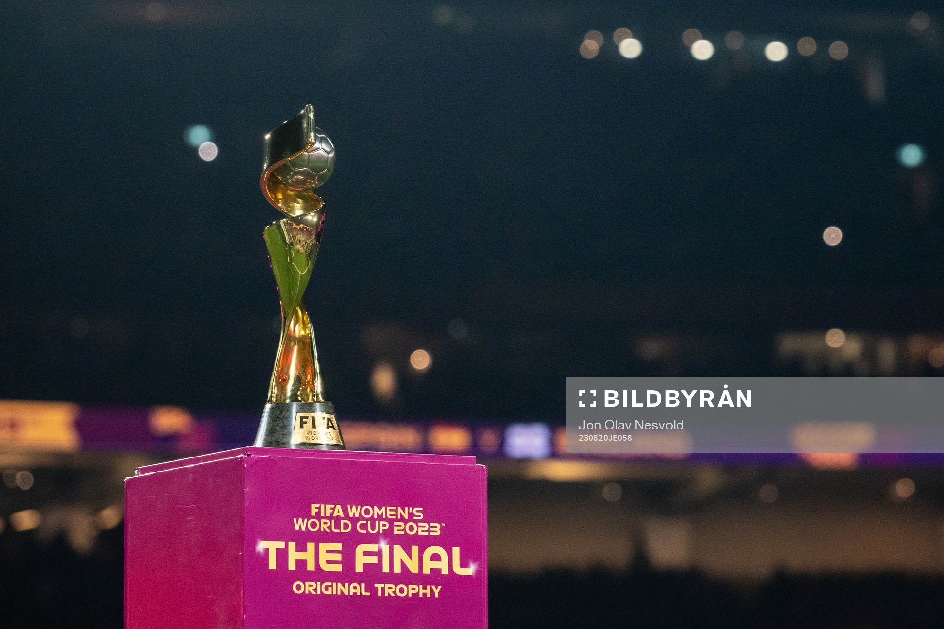 The World Cup trophy