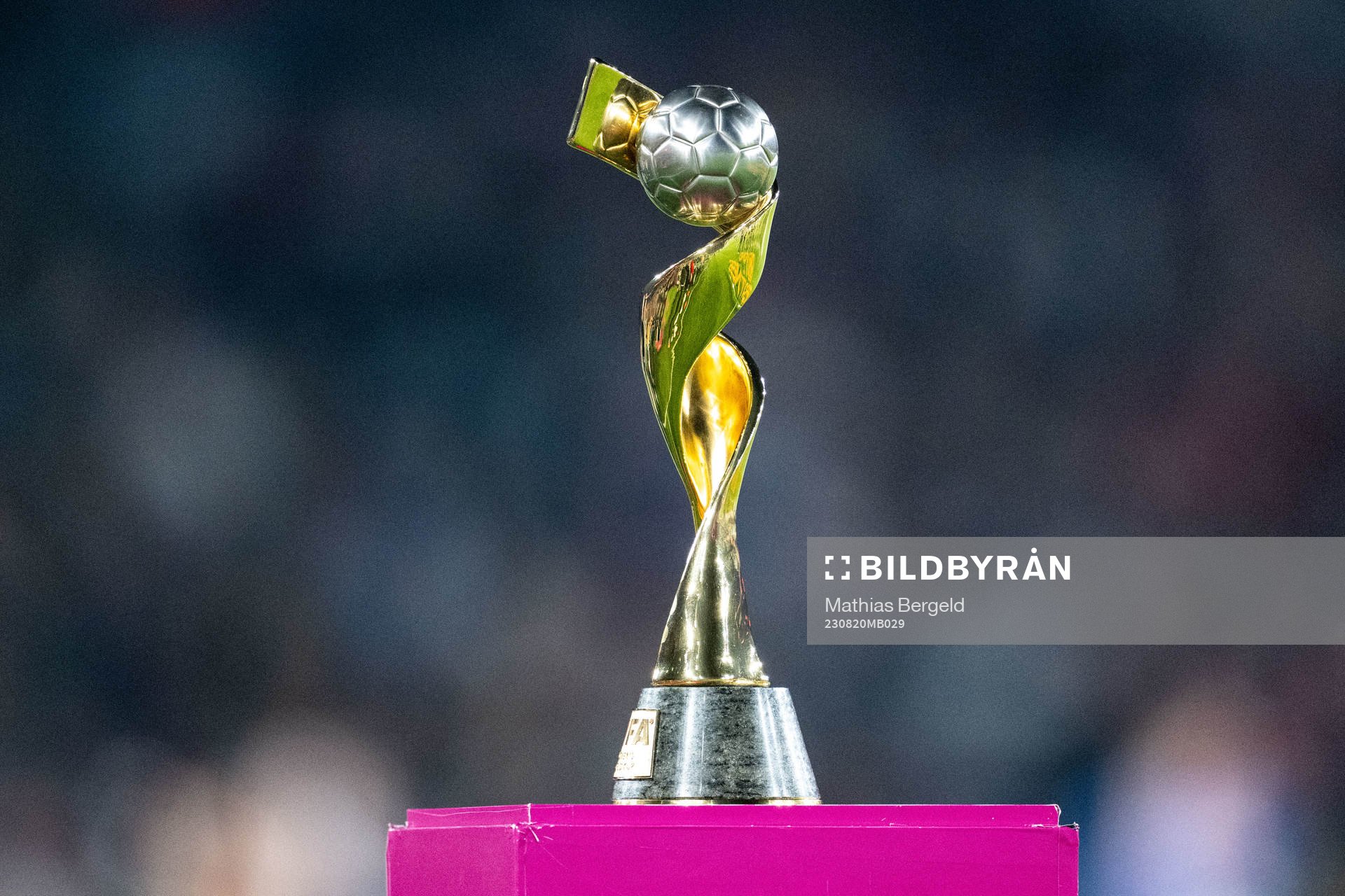 The World Cup trophy