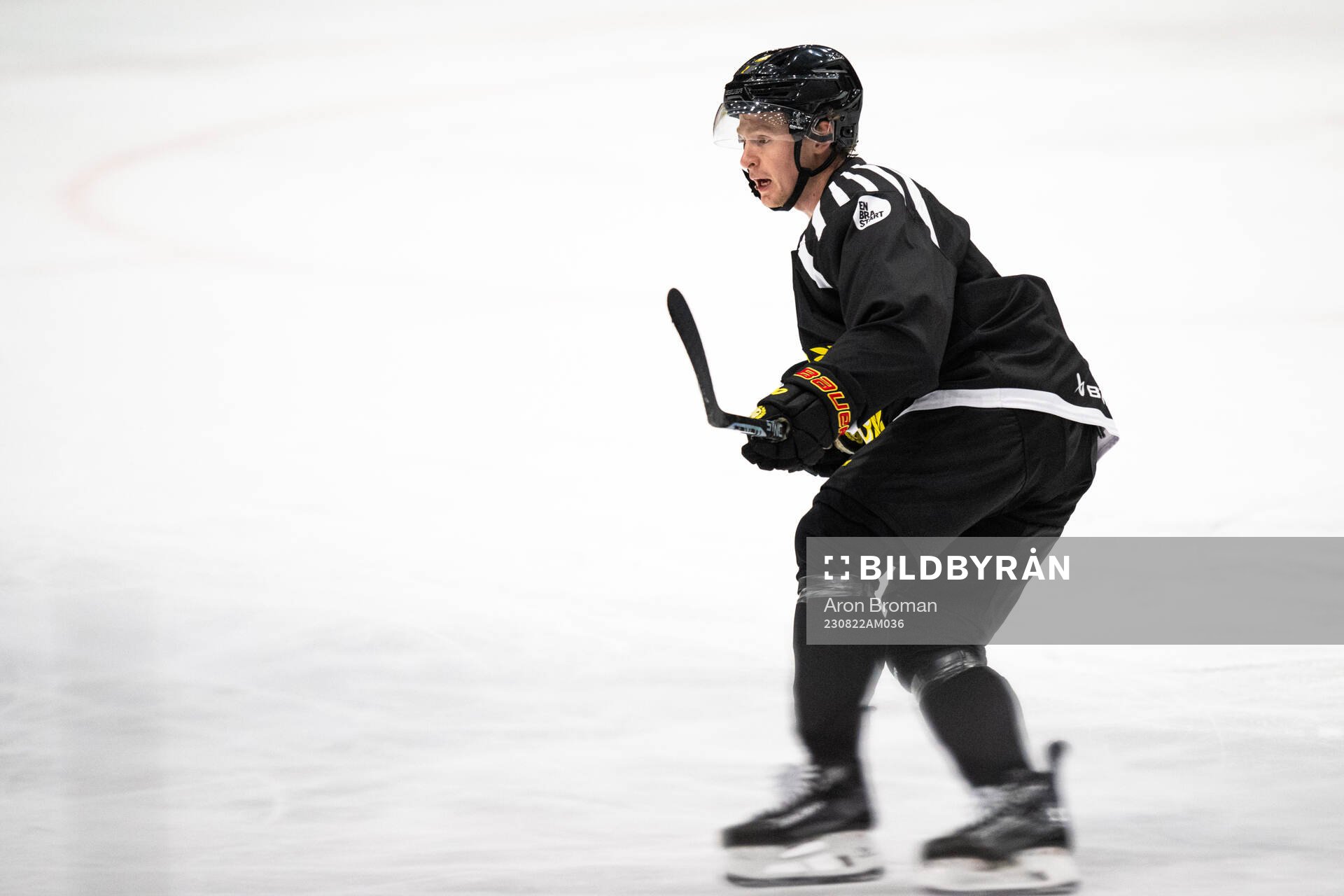 Brynäs Anton Johannesson