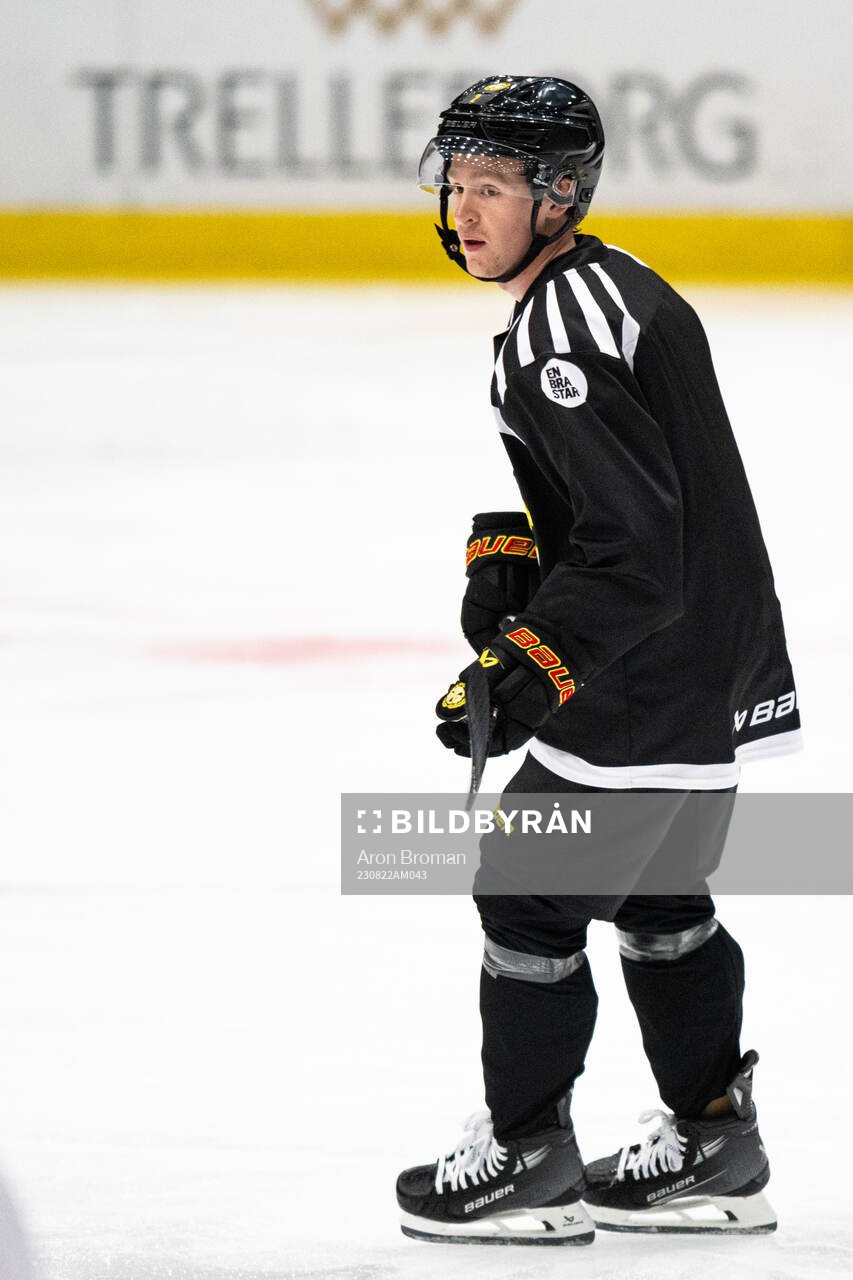 Brynäs Anton Johannesson