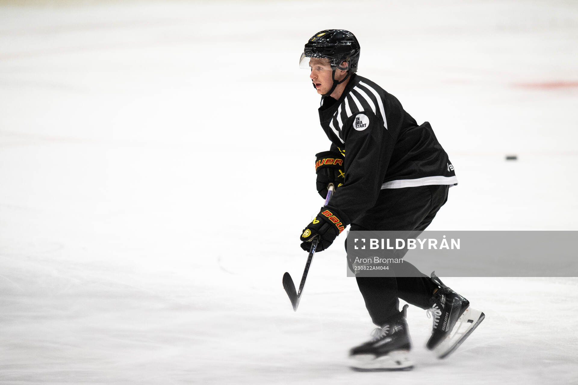 Brynäs Anton Johannesson