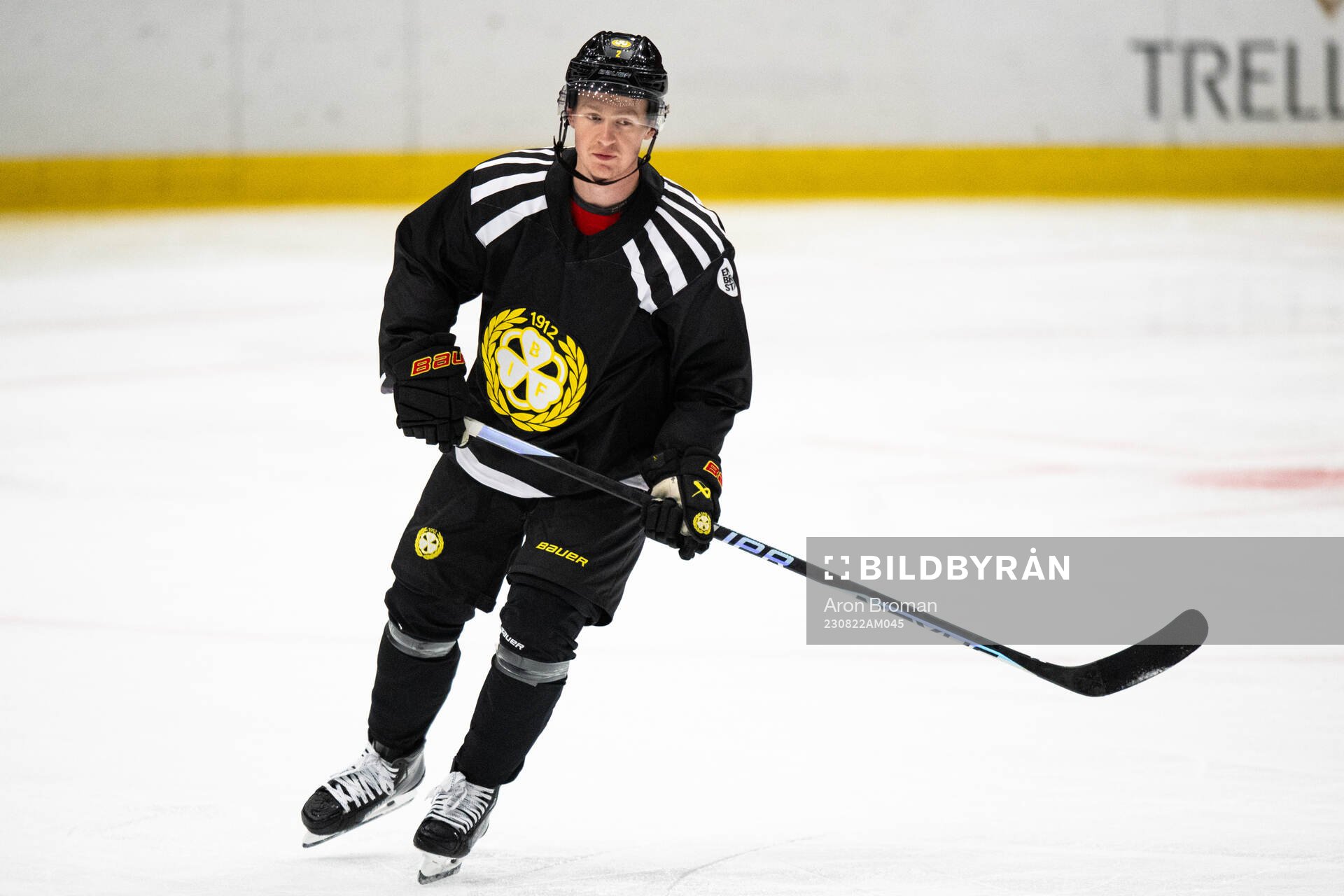 Brynäs Anton Johannesson