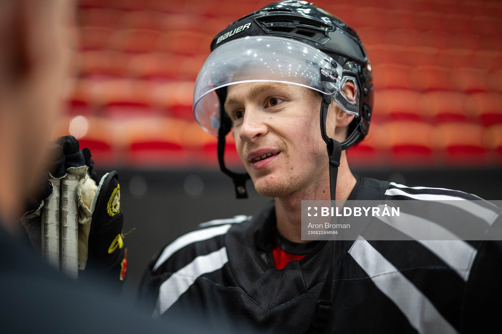 Brynäs Anton Johannesson