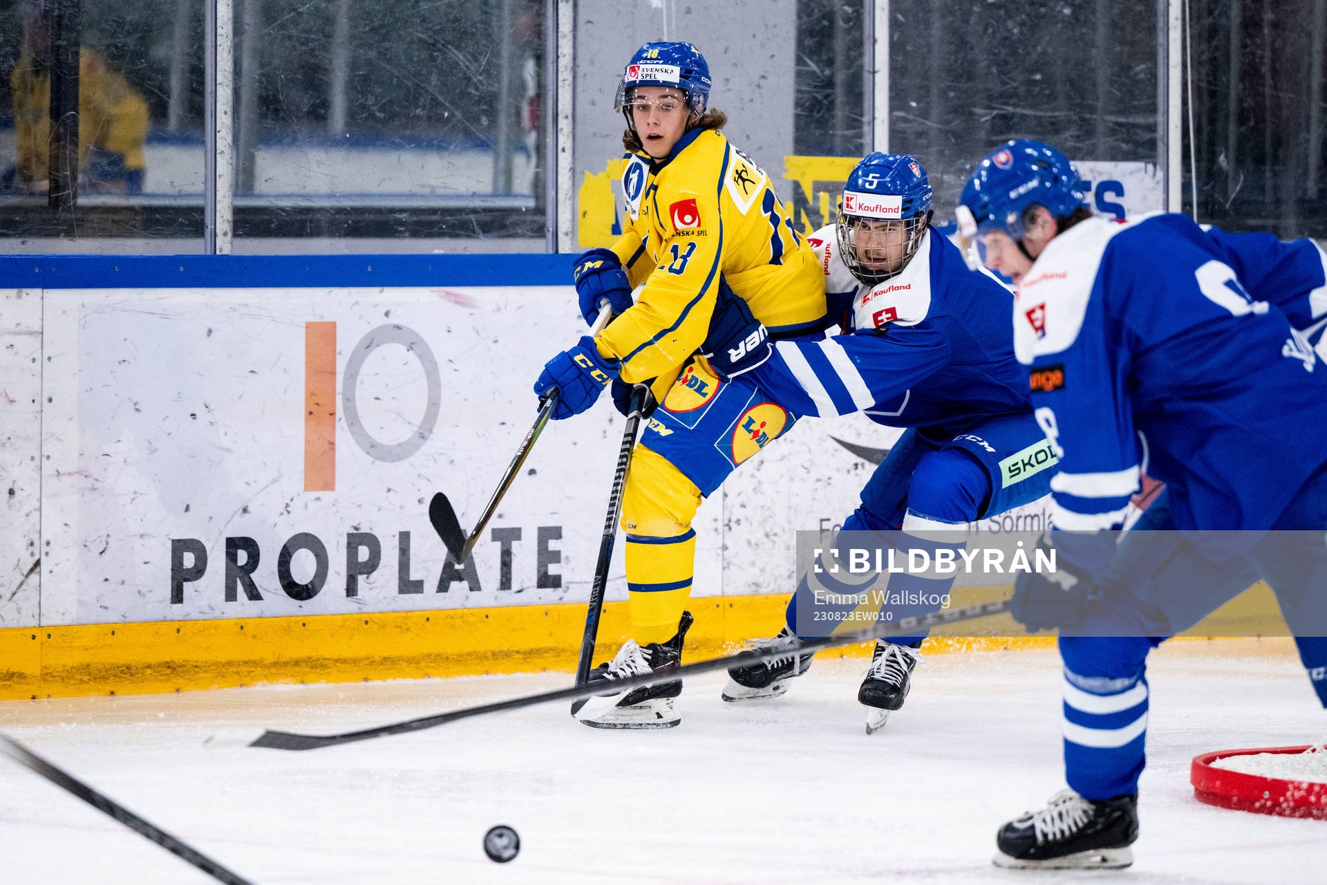 Liam Engström of Sweden