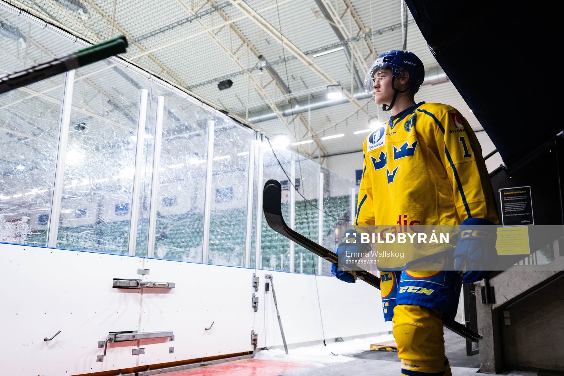 Liam Engström of Sweden