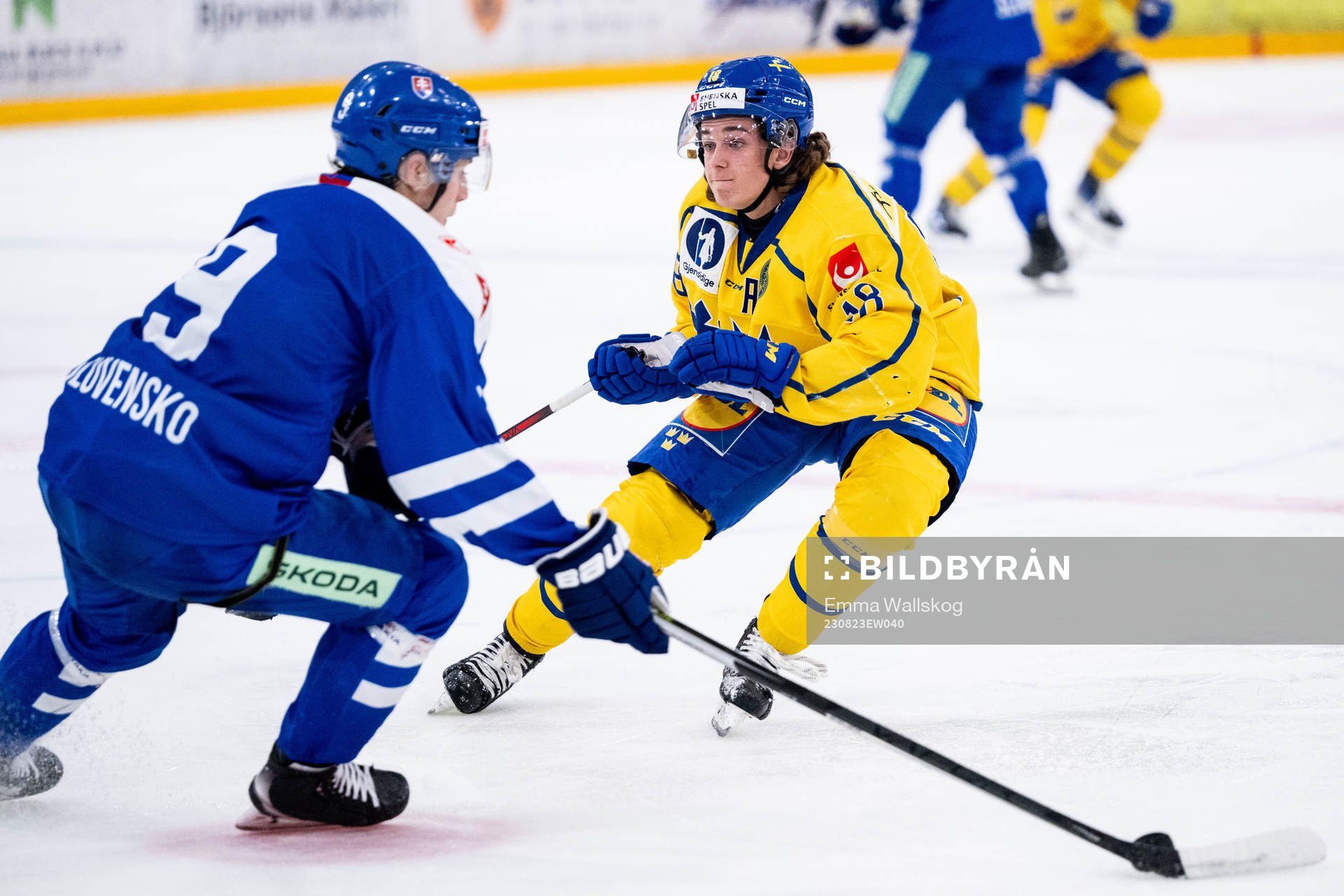 Liam Engström of Sweden