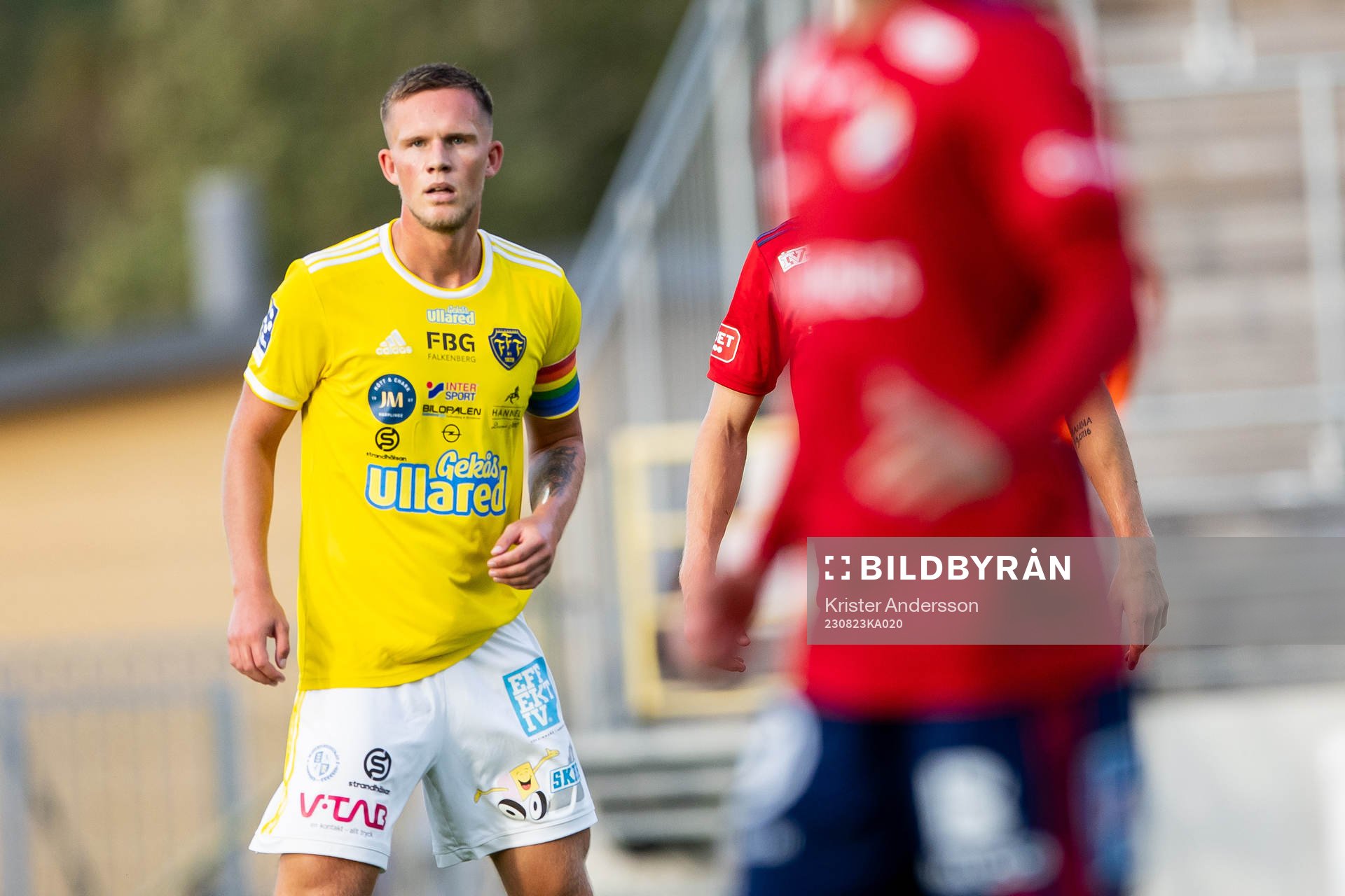 Falkenbergs Tim Stålheden