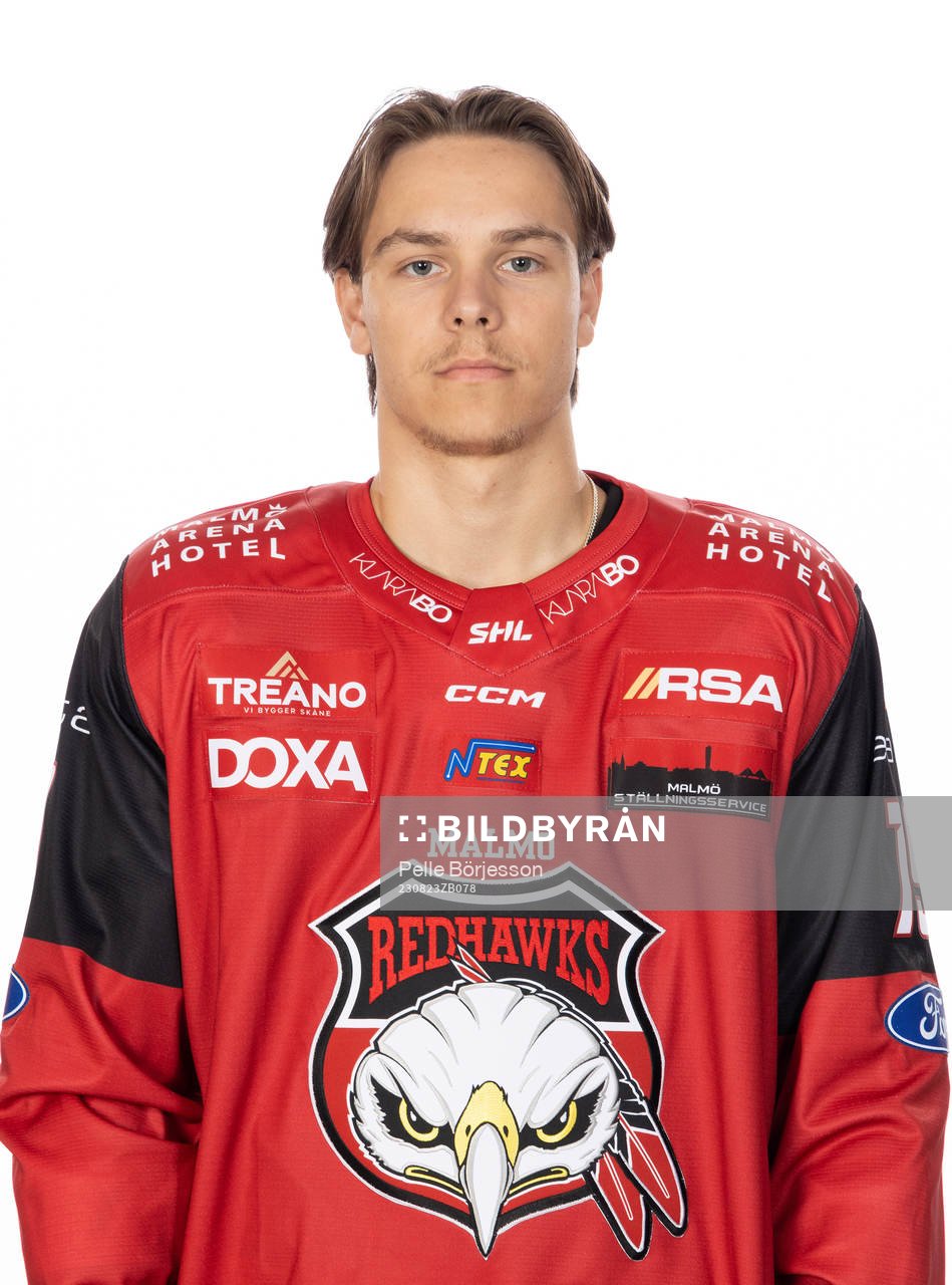 Malmös Noah Schalin