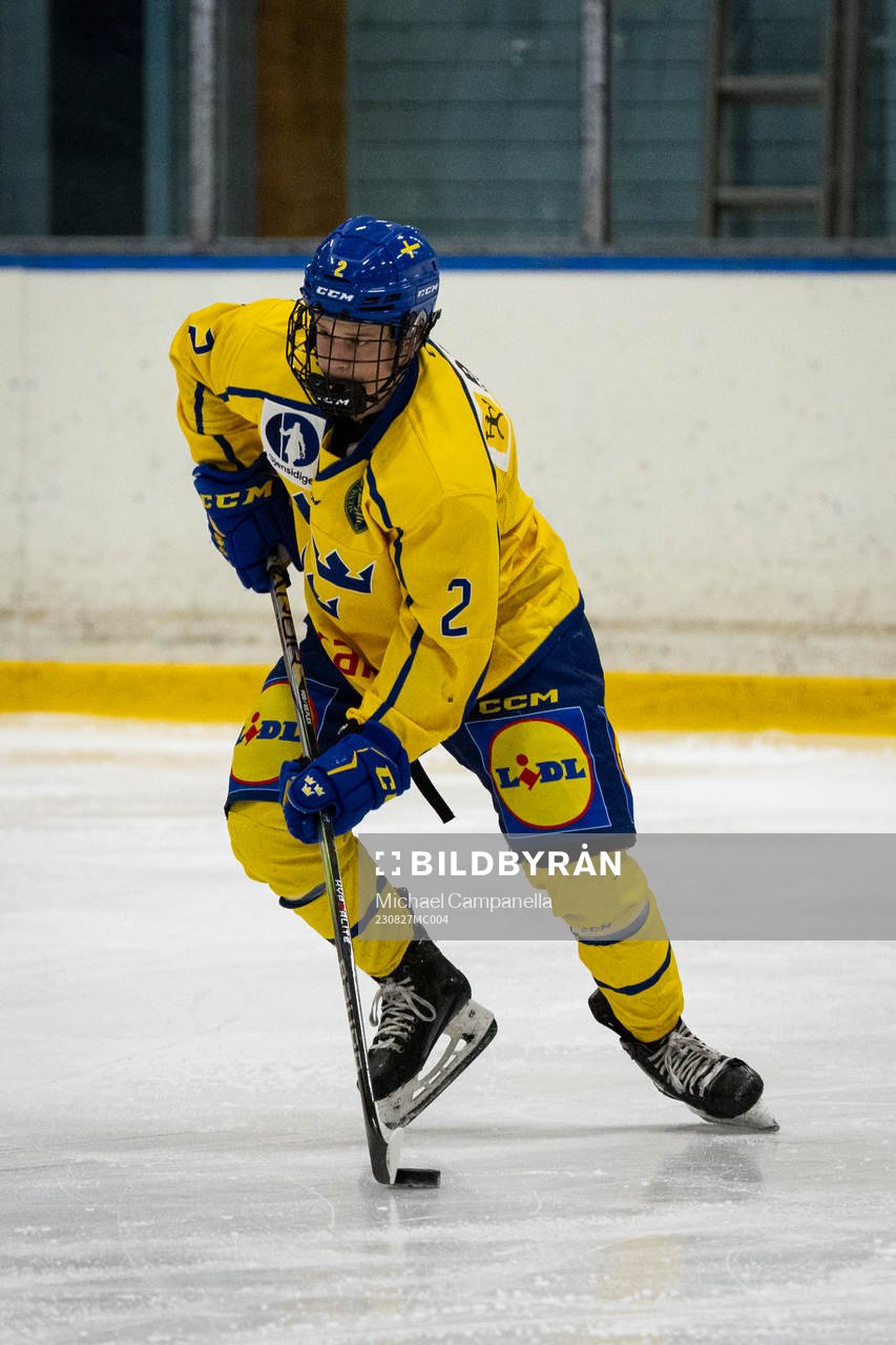 Sveriges Hugo Hallin