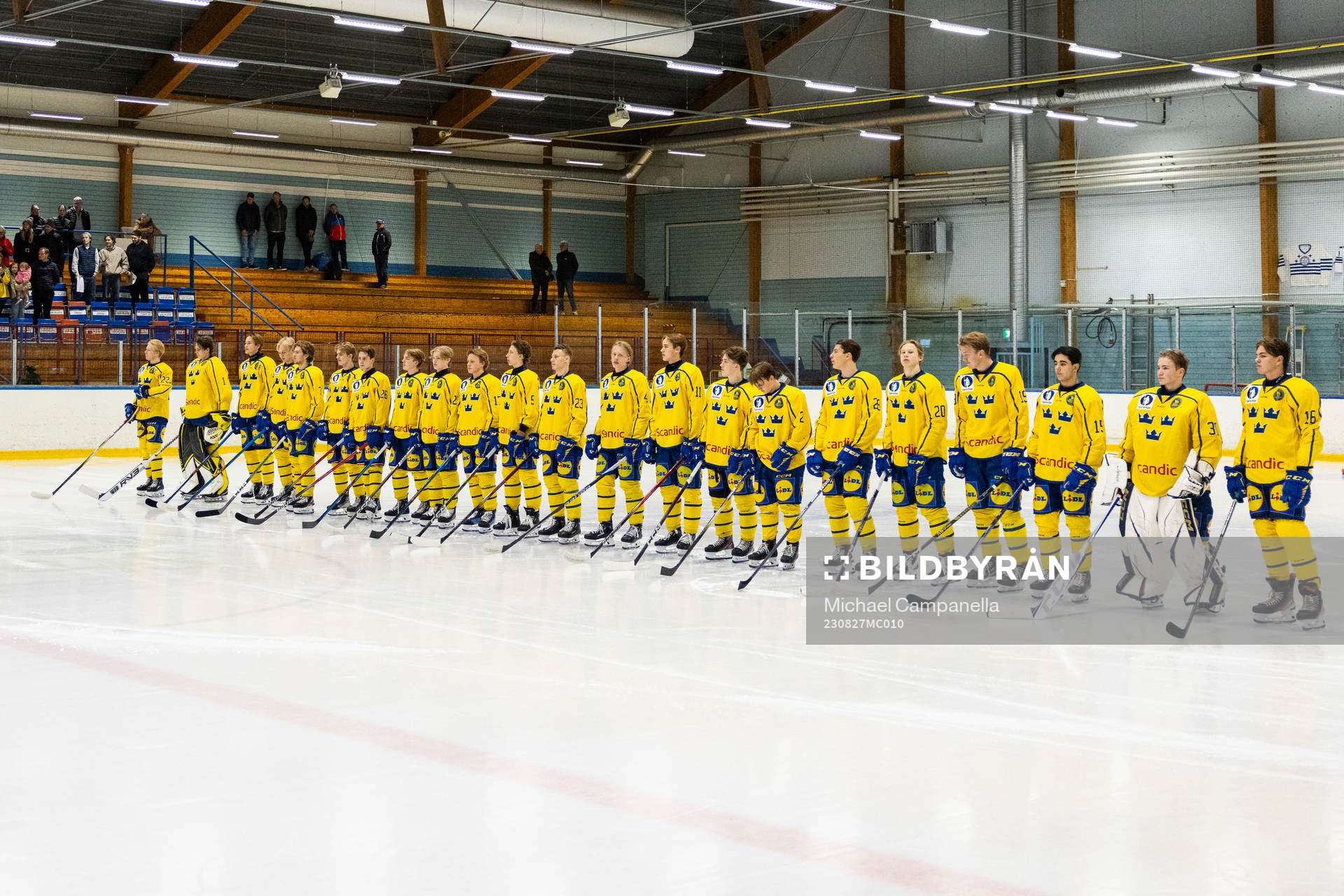 Sveriges lag i lineup