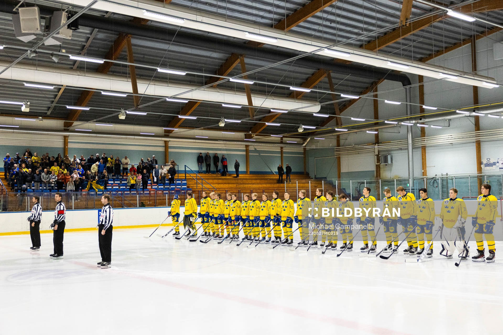 Sveriges lag i lineup
