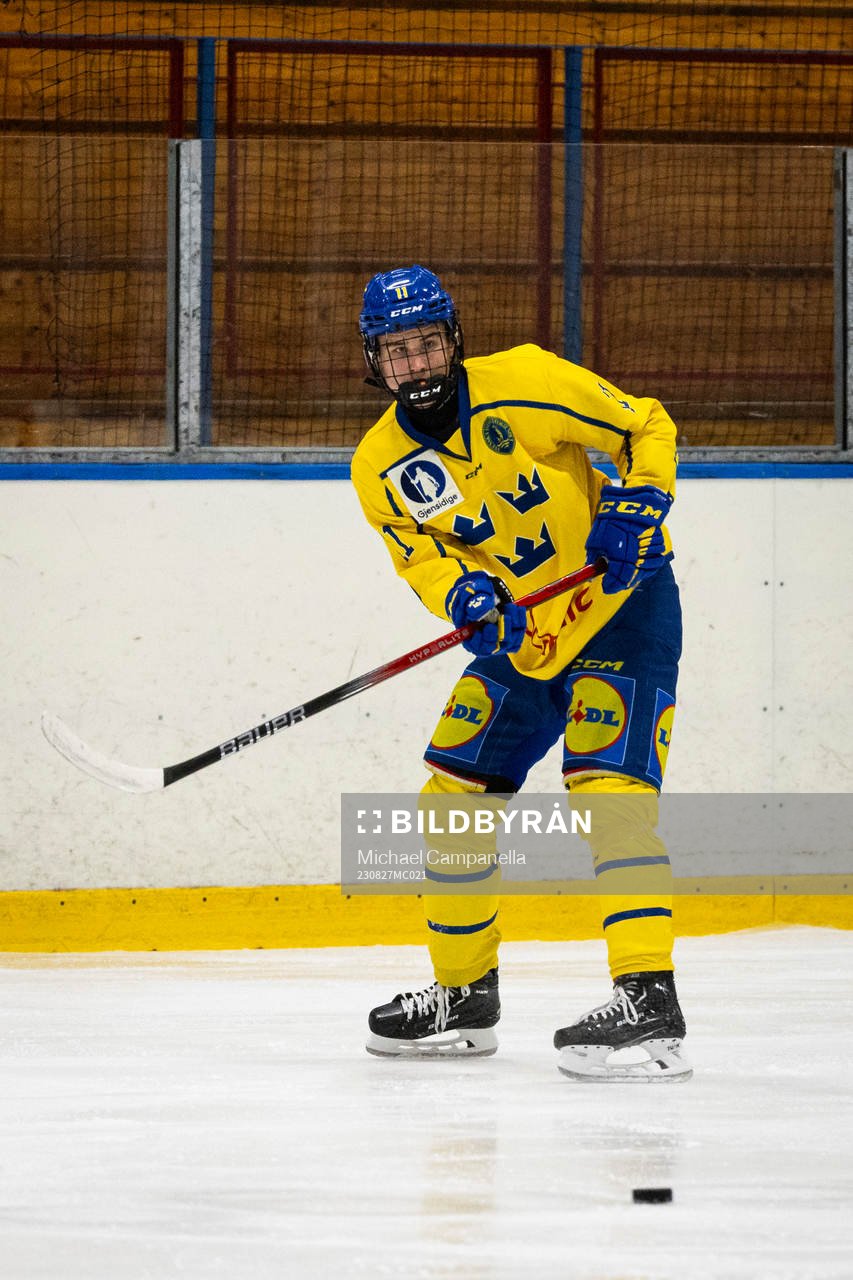 Sveriges Jakob Wozniak