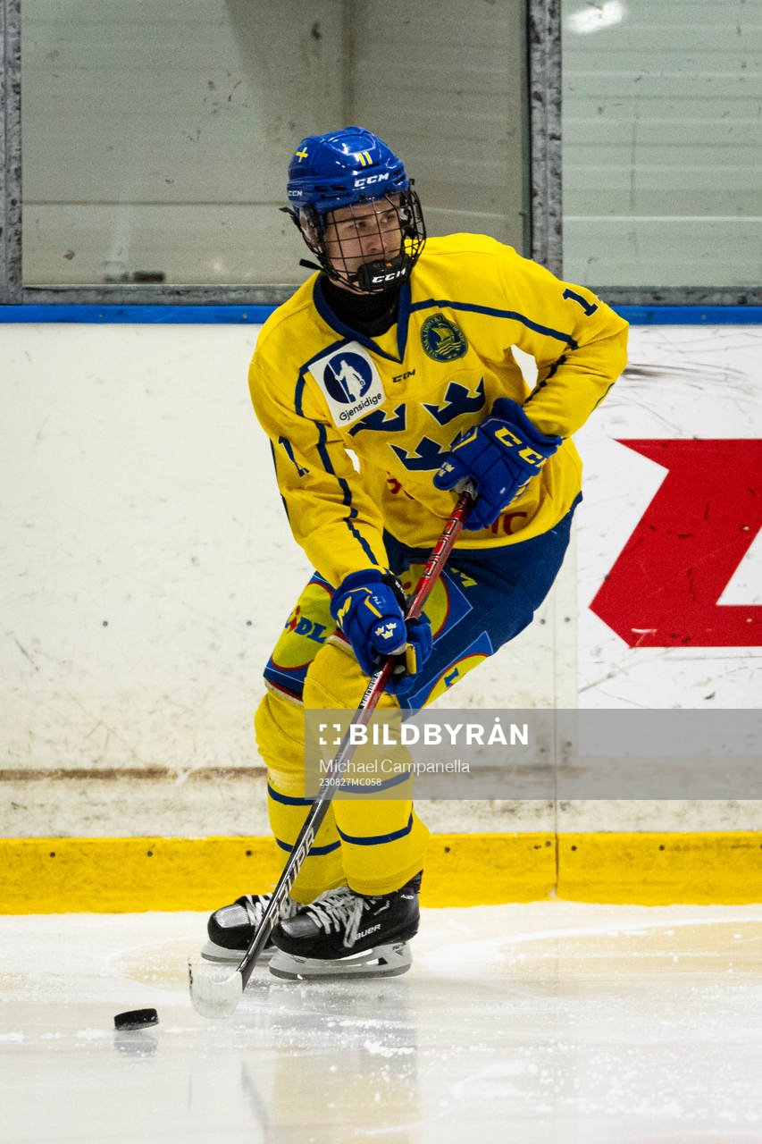 Sveriges Jakob Wozniak