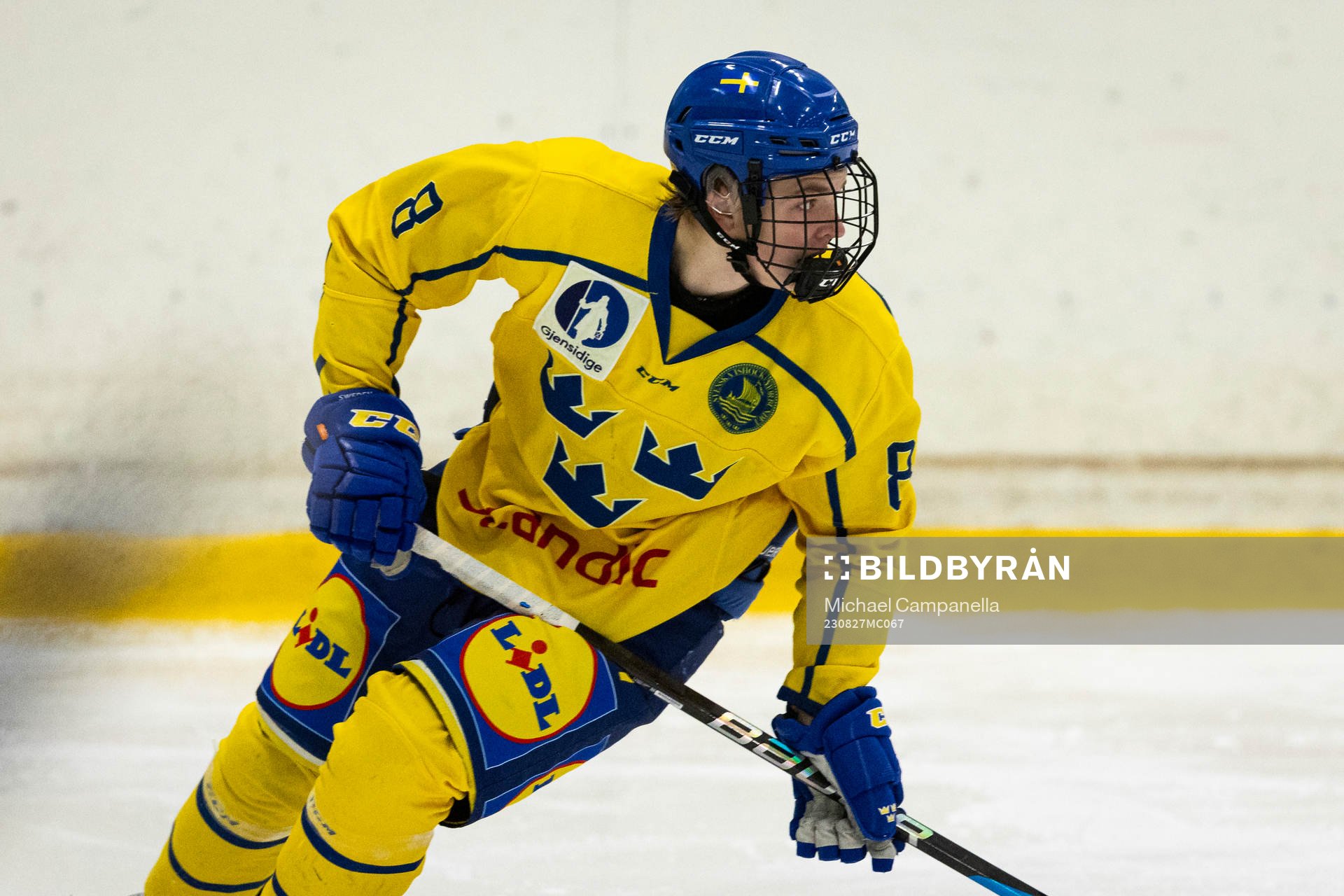 Sveriges Rocky Langvardt