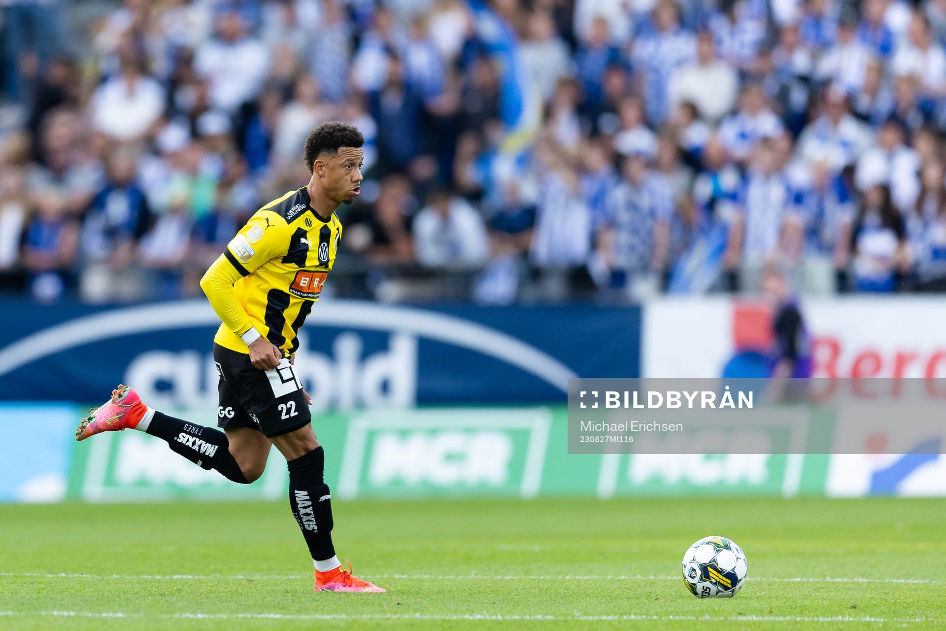 Häckens Tobias Sana