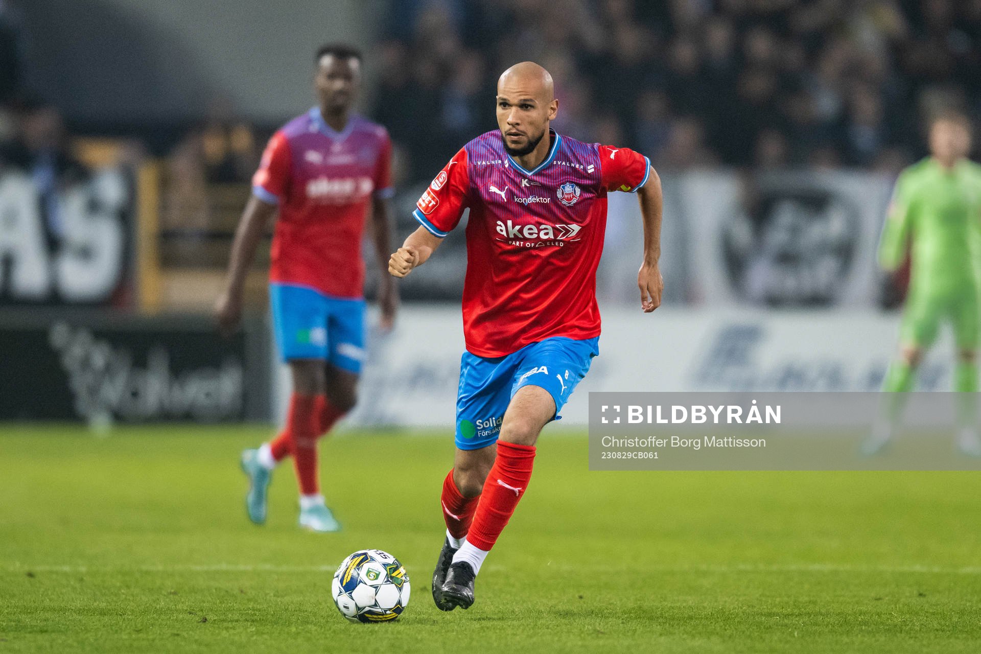 Helsingborgs Sumar Almadjed