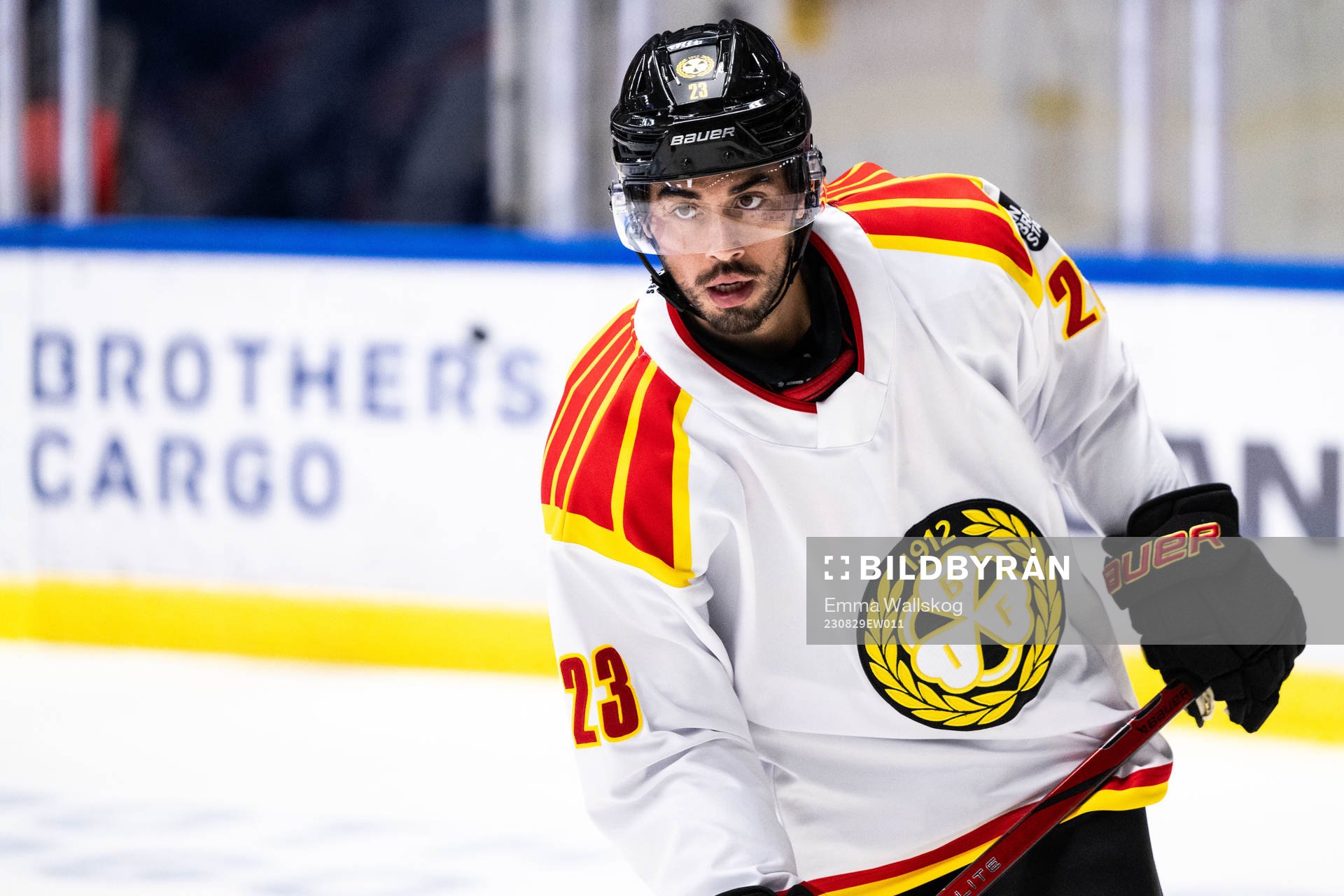 Brynäs Tyler Vesel