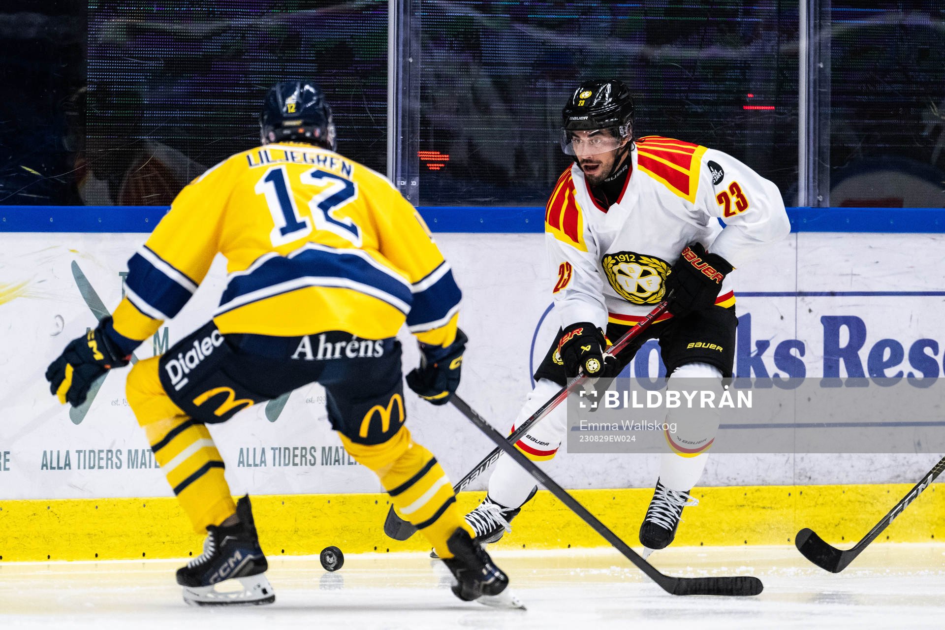 Brynäs Tyler Vesel