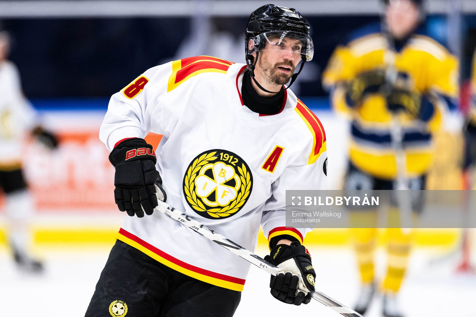 Brynäs Anton Rödin
