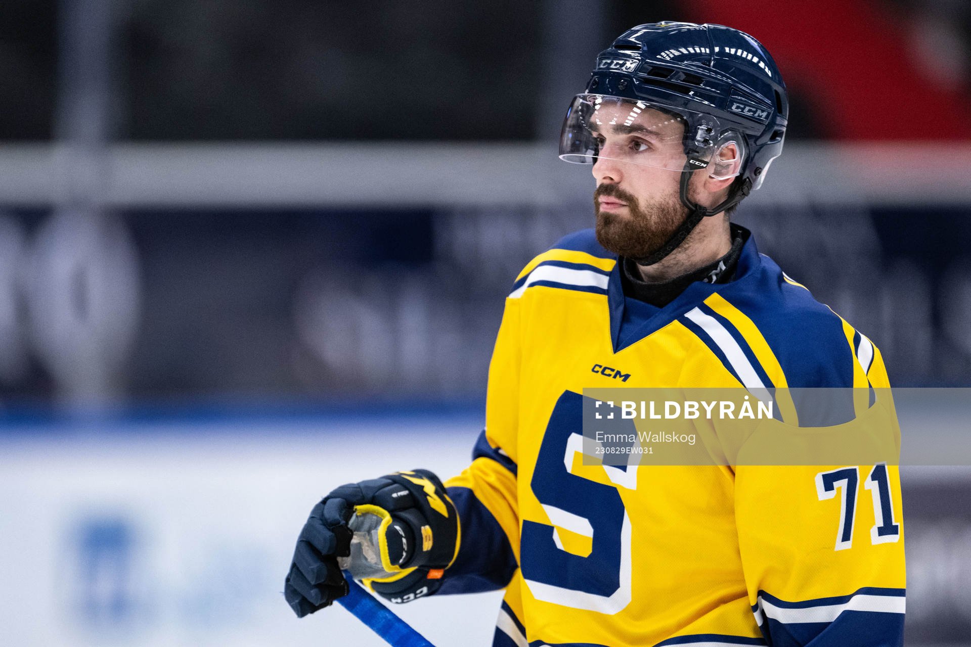Södertäljes Dominic Turgeon