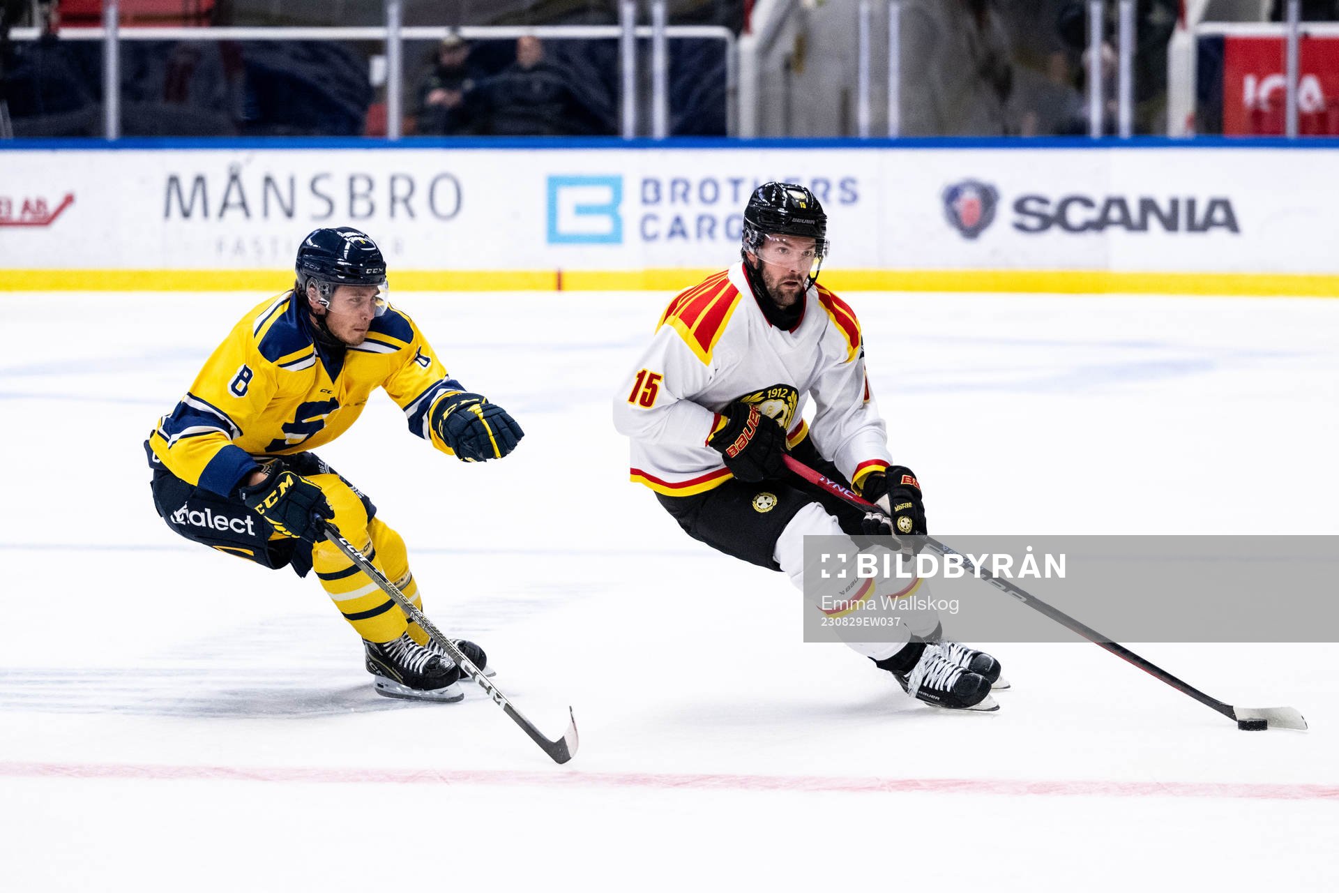 Södertäljes William Wiå och Brynäs Simon Bertilsson