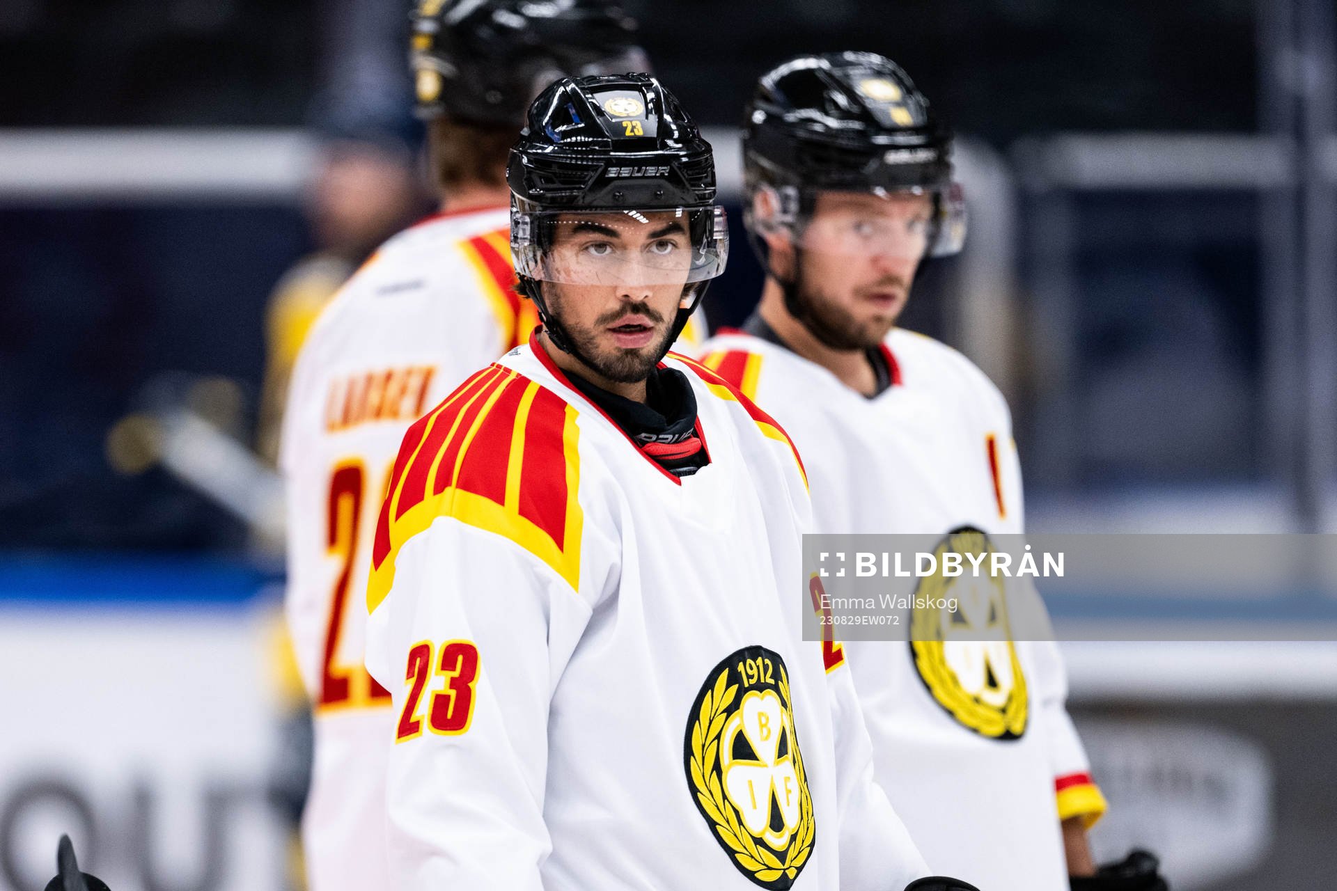 Brynäs Tyler Vesel