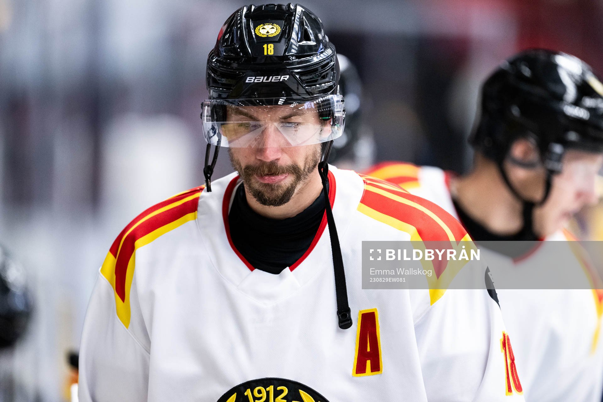 Brynäs Anton Rödin