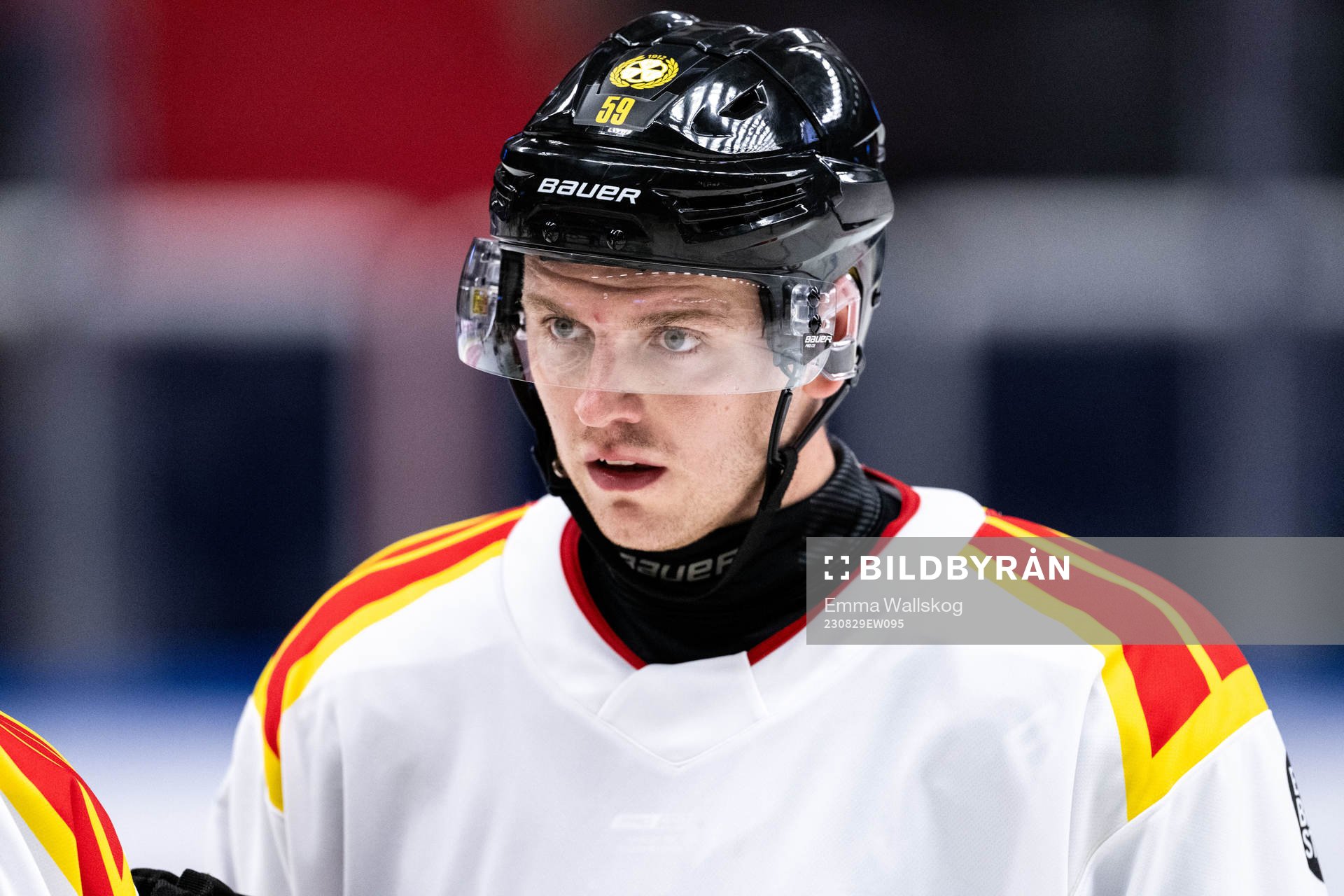 Brynäs Karlis Cukste