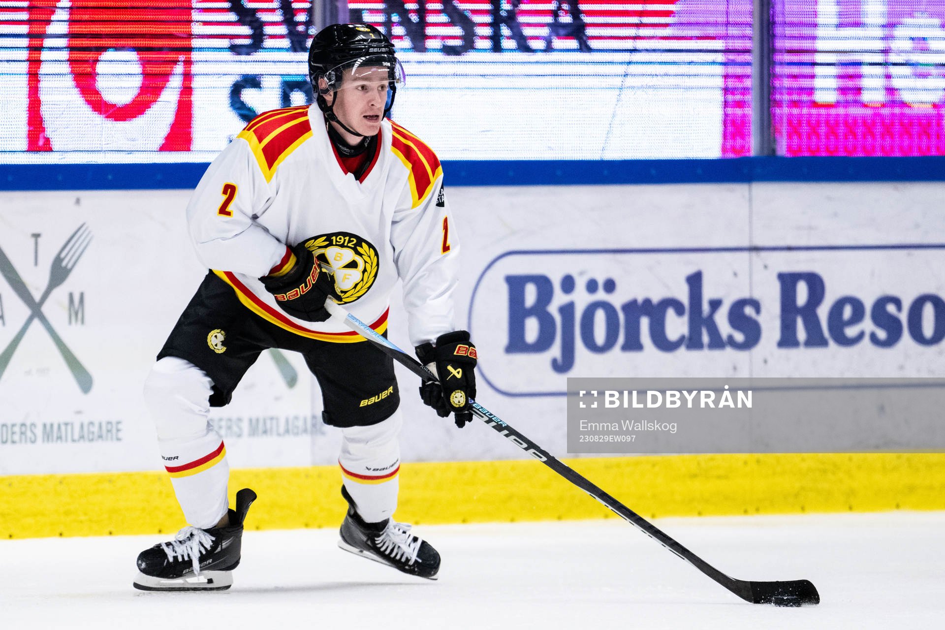 Brynäs Anton Johannesson