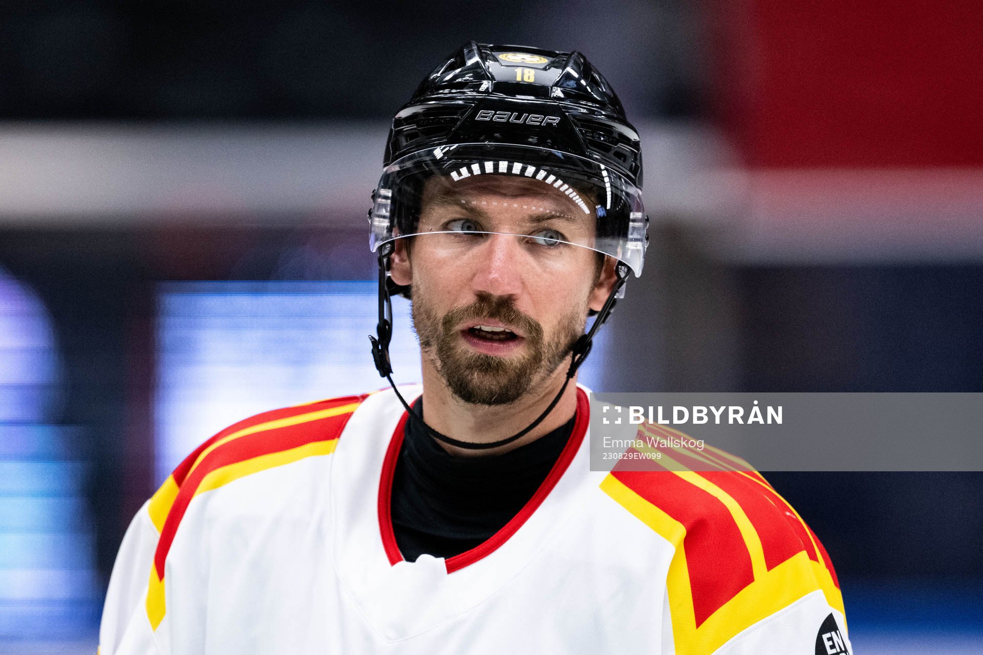 Brynäs Anton Rödin