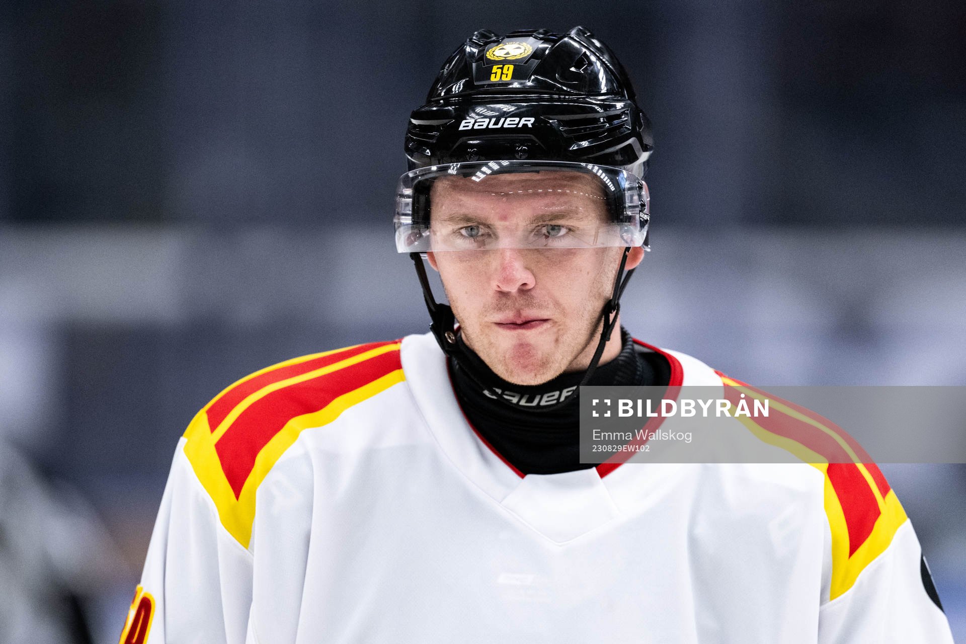 Brynäs Karlis Cukste