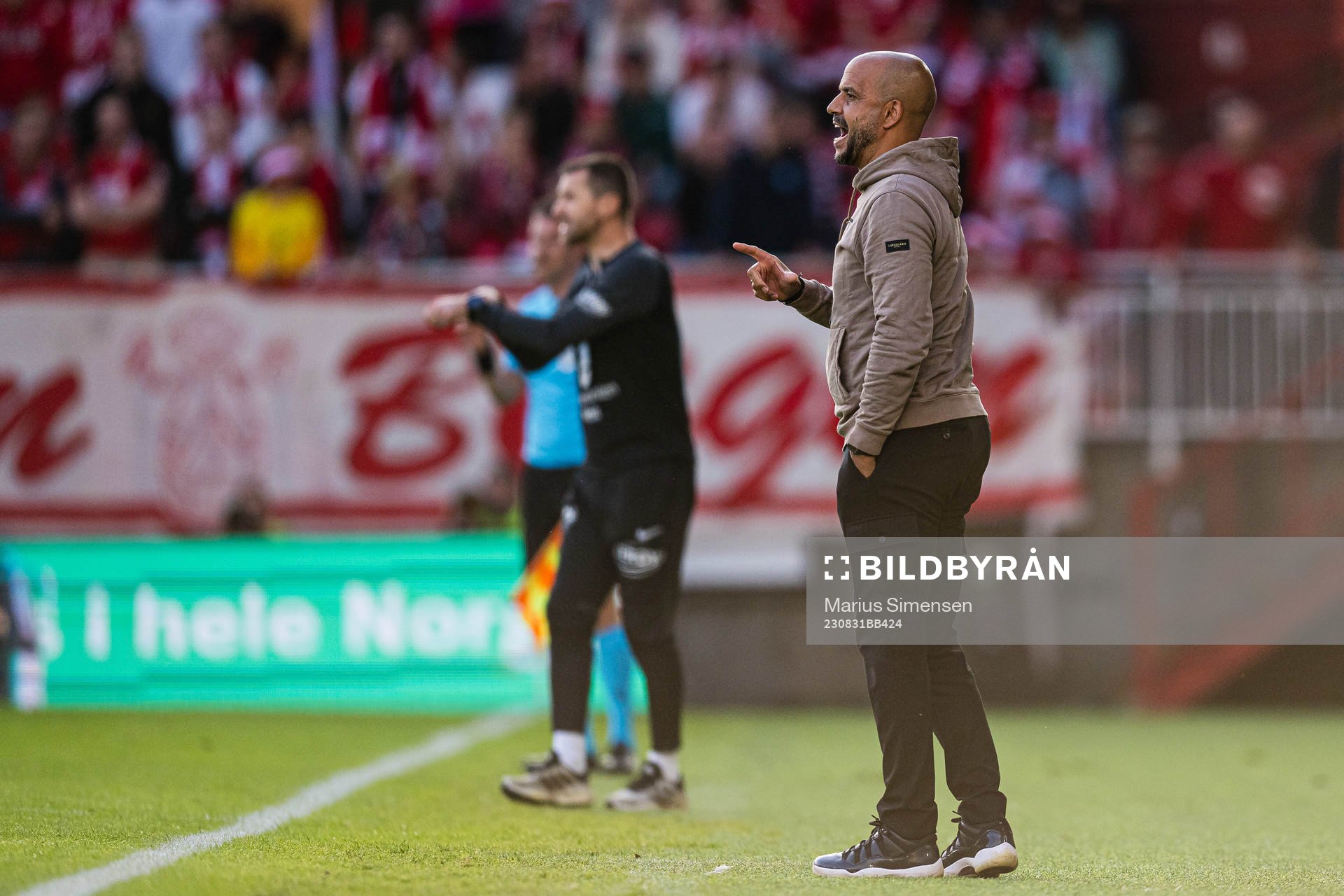Pascal Jansen, head coach of AZ Alkmaar
