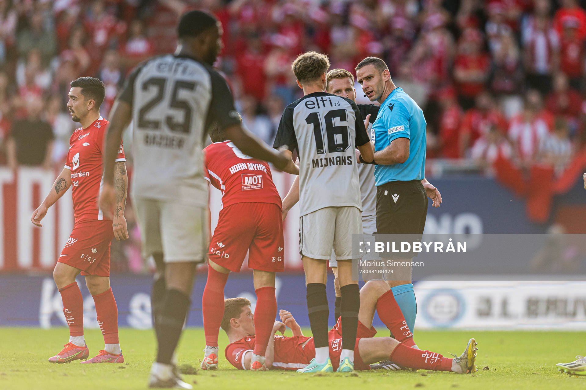 Gergo Bogár, referee