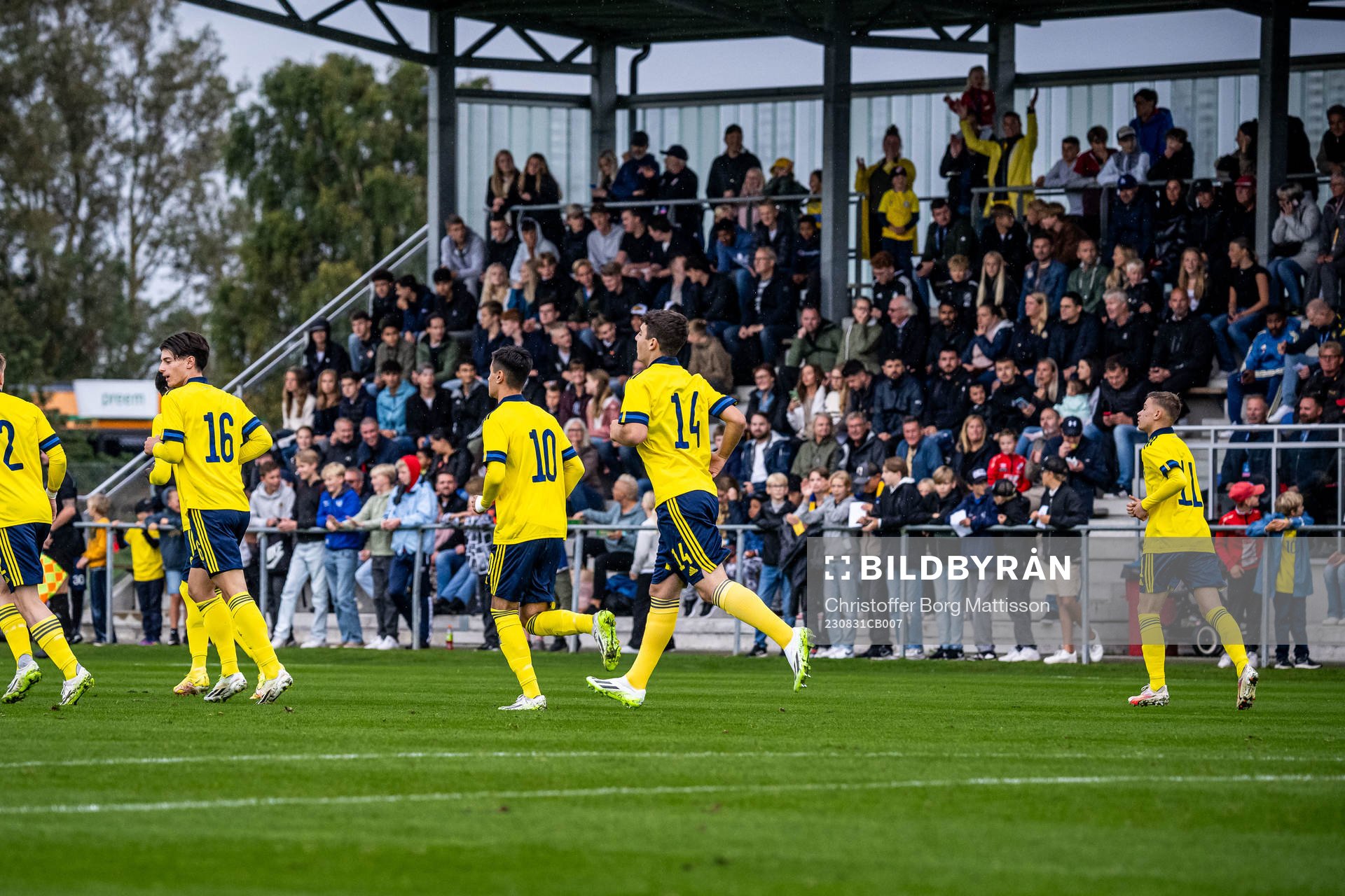 Sveriges spelare jublar framför publiken